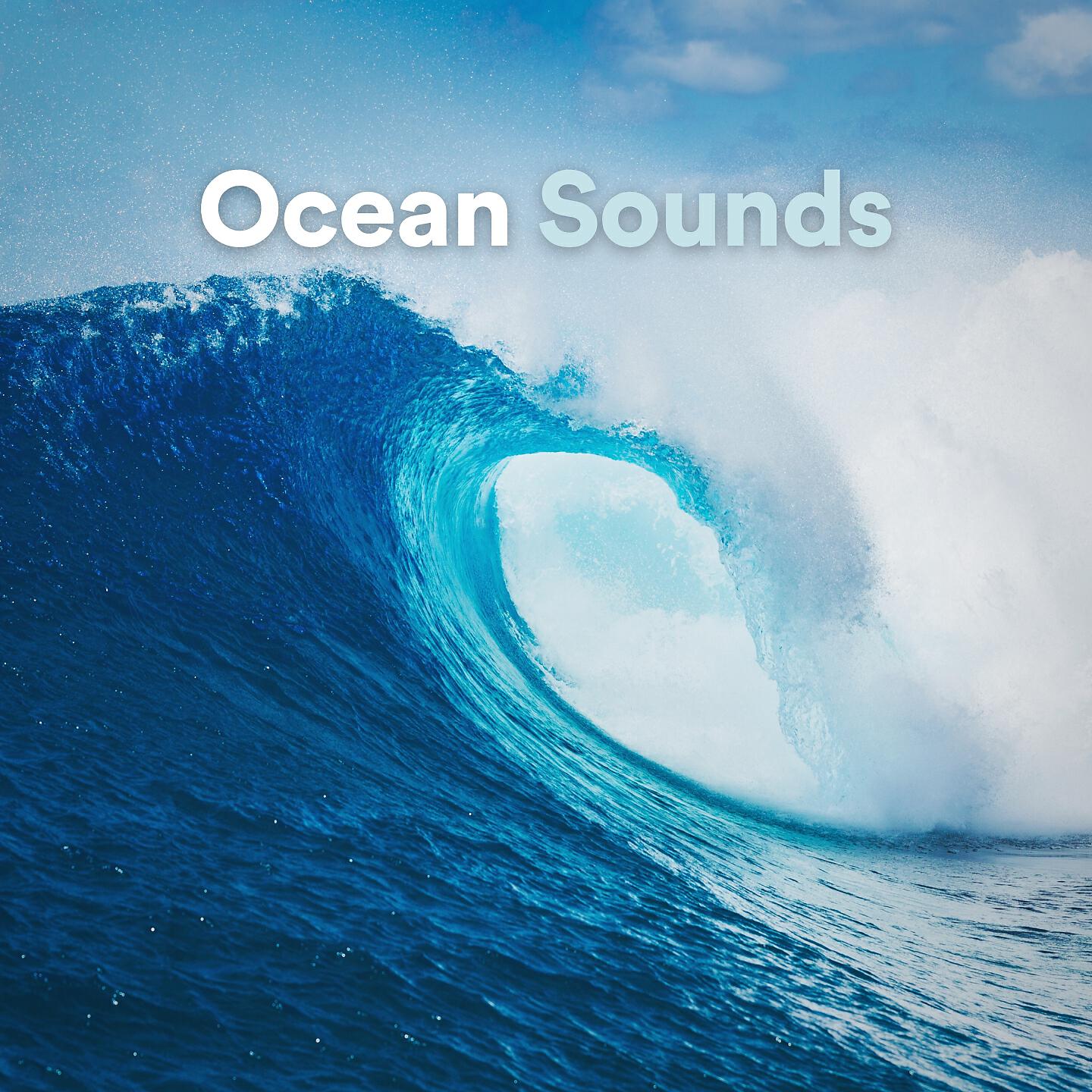 Ocean Live - White Noise Ocean