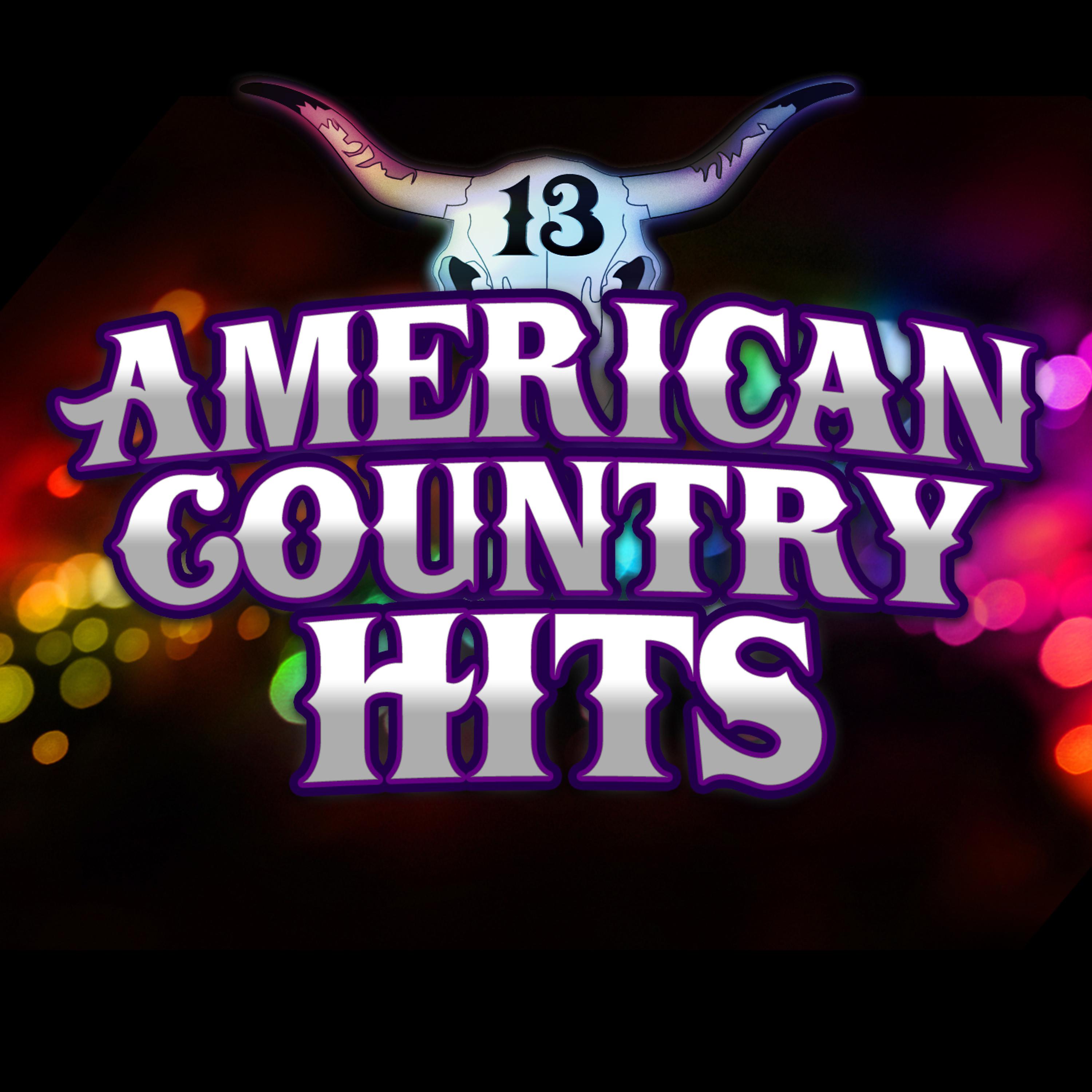 Постер альбома Today's Top Country Hits, Vol. 13