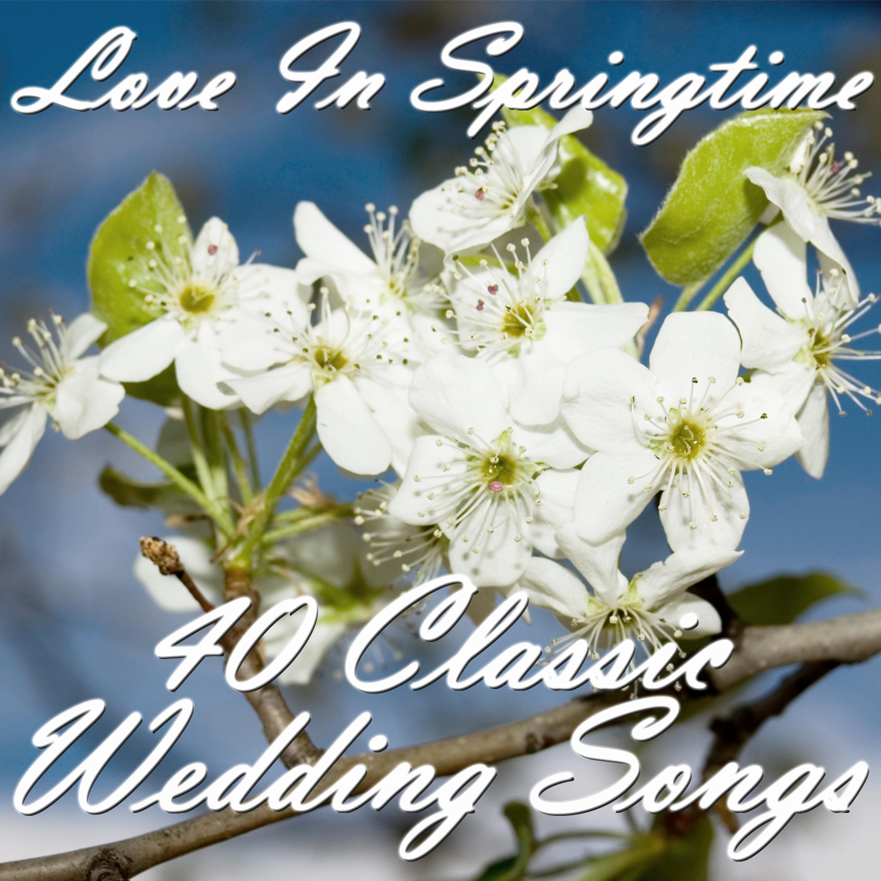 Постер альбома Love in Springtime: 40 Classic Wedding Songs