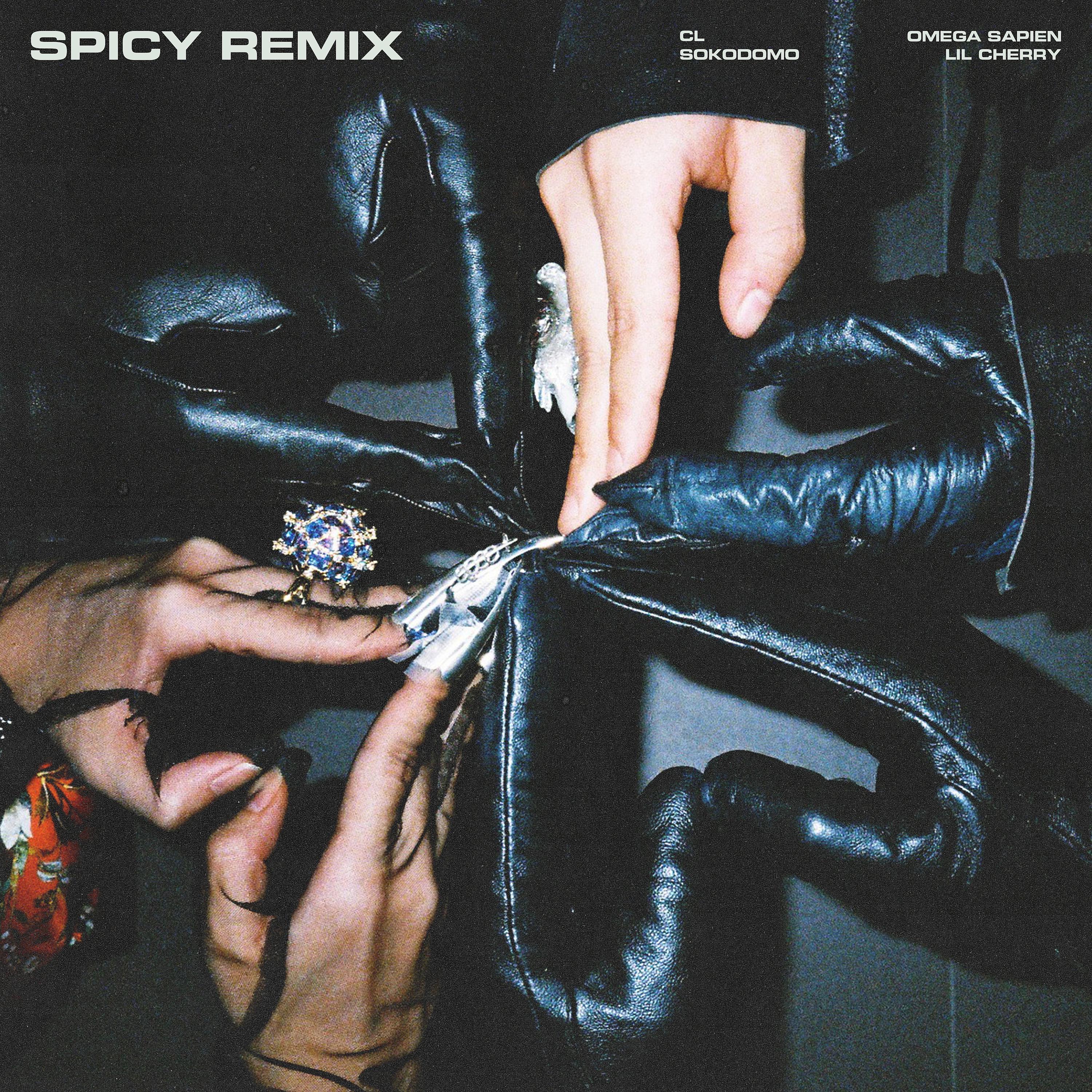 Постер альбома SPICY (Remix)