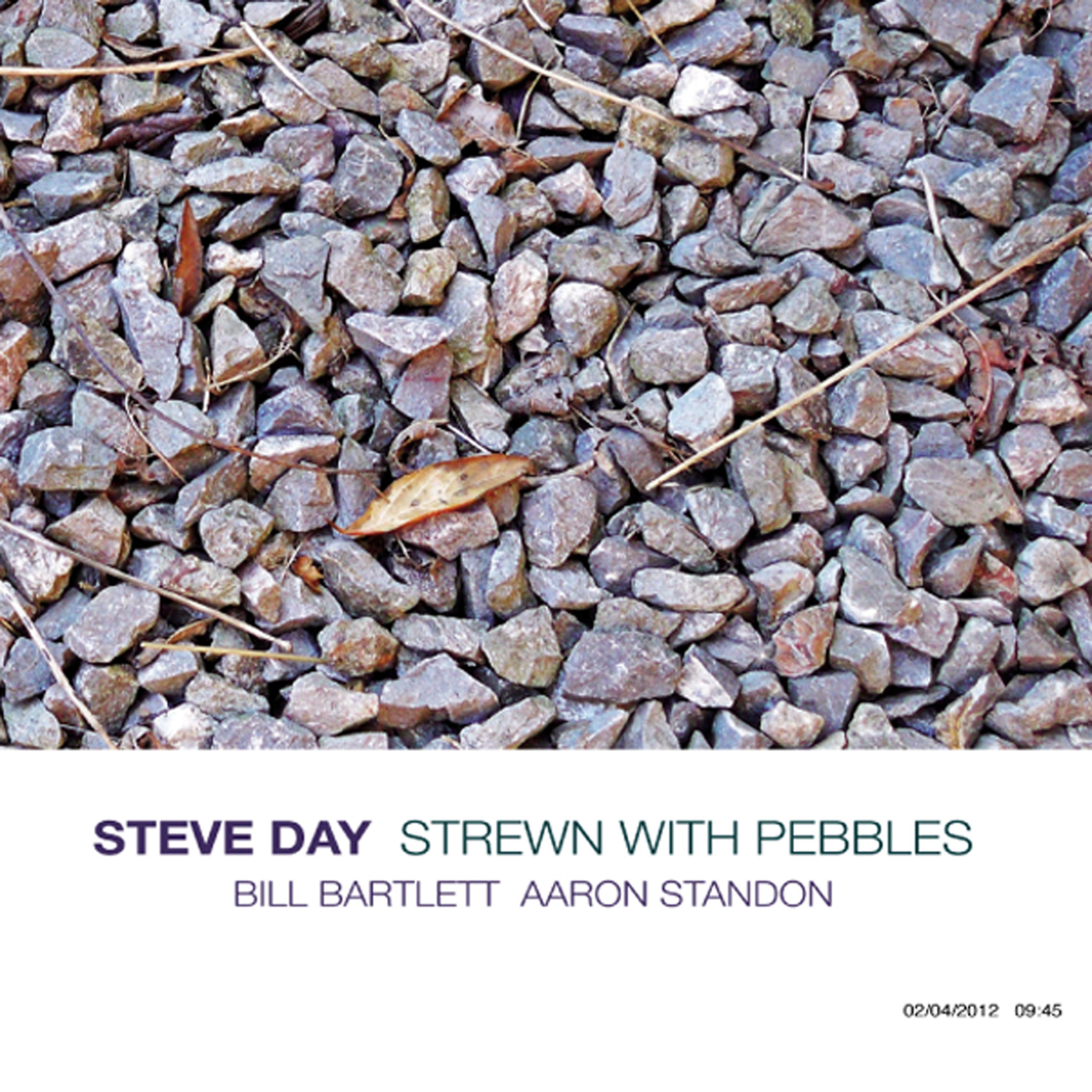 Steve Day - Leisure Pleasure Palace/Pebble by Pebble