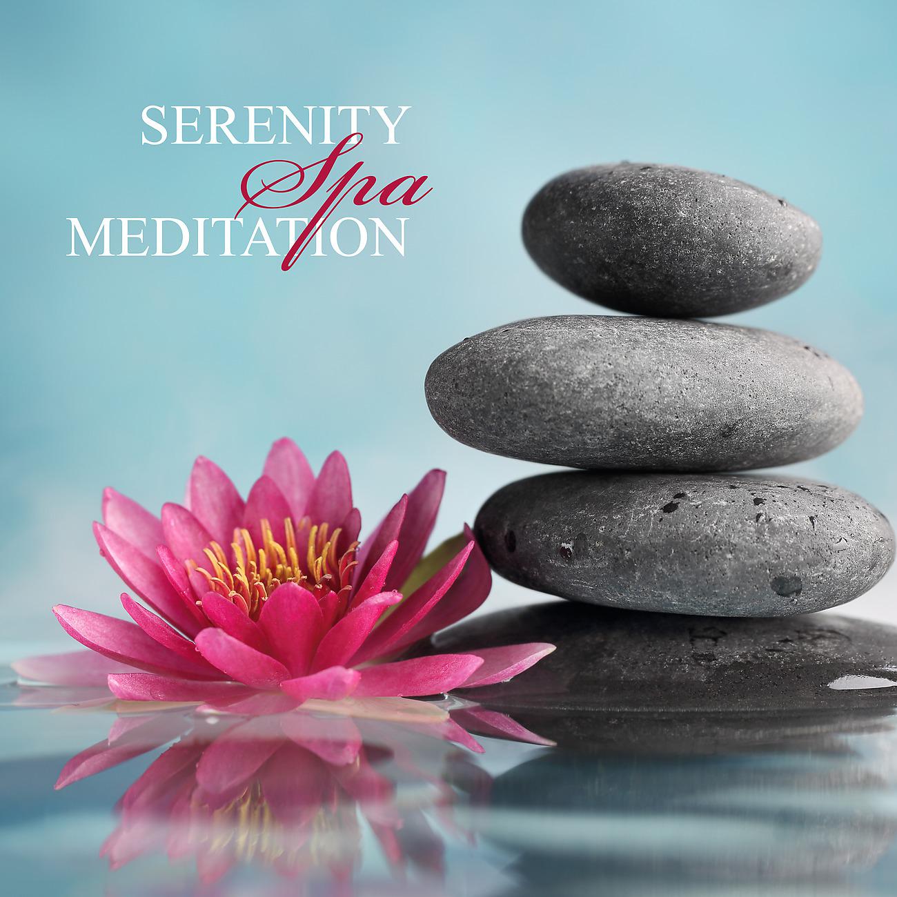 Постер альбома Serenity Spa Meditation - Clear Your Mind and Relax Your Body
