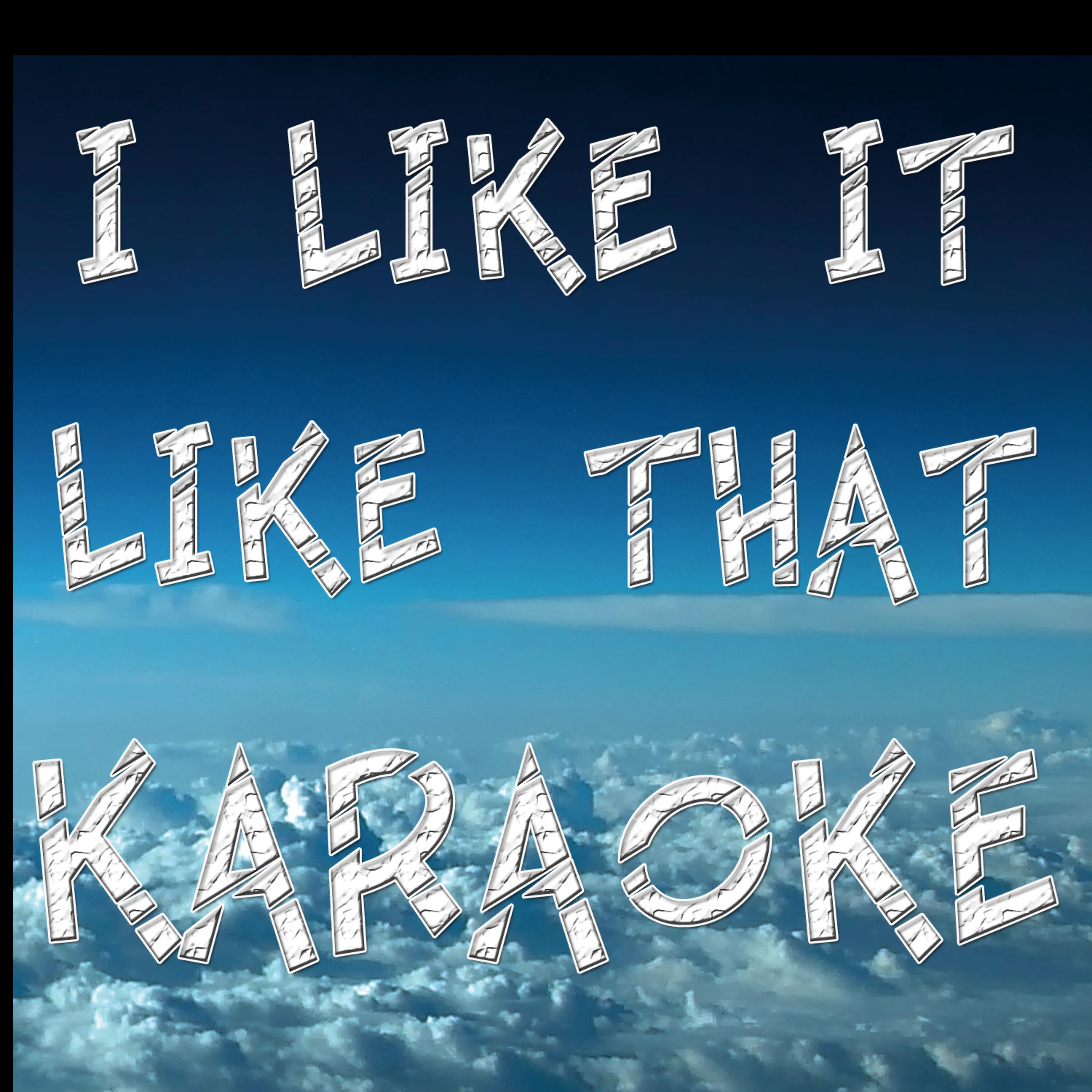 Постер альбома I like it like that (In the style of Hot Chelle Rae feat New Boyz) (Karaoke)