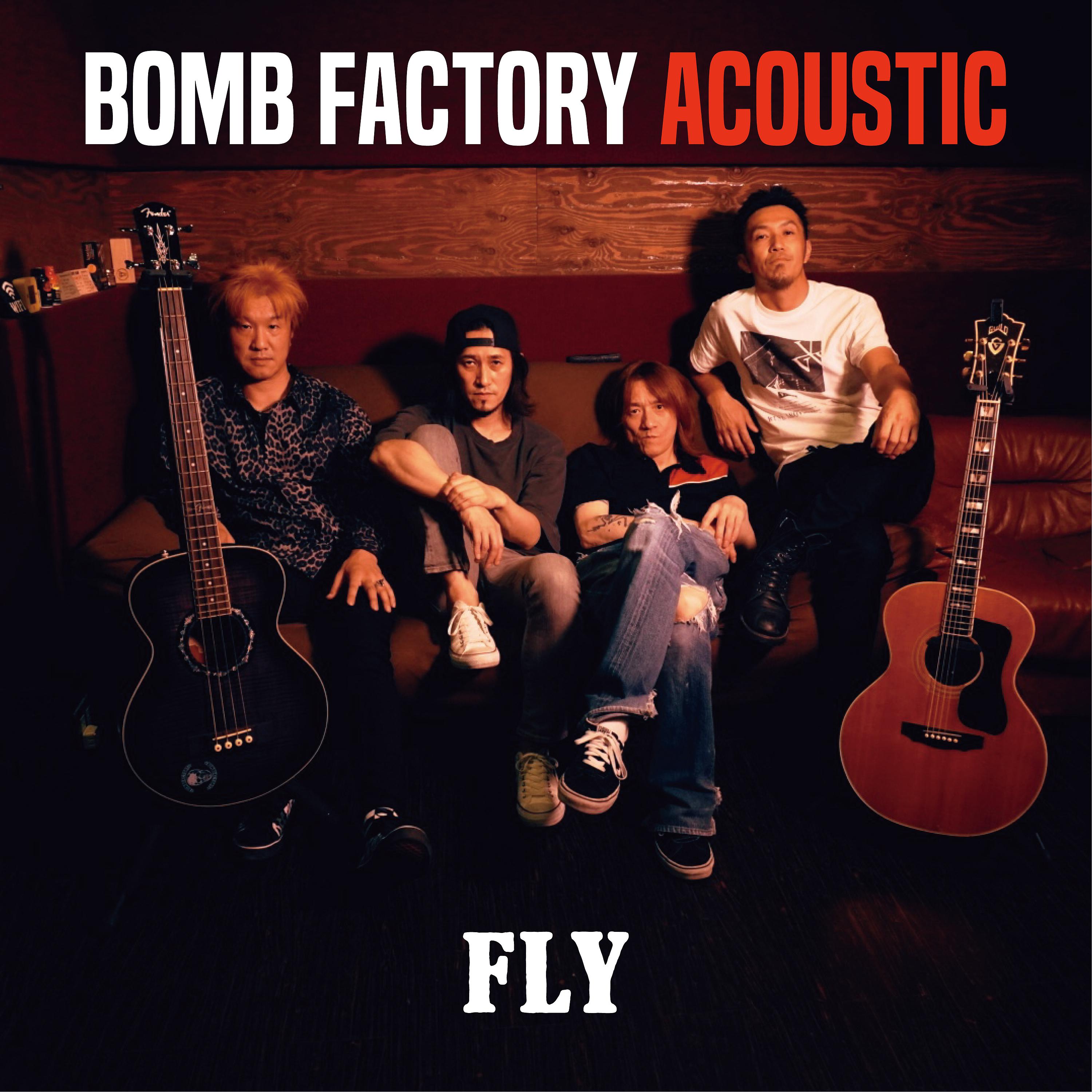 Постер альбома FLY (Acoustic Version)