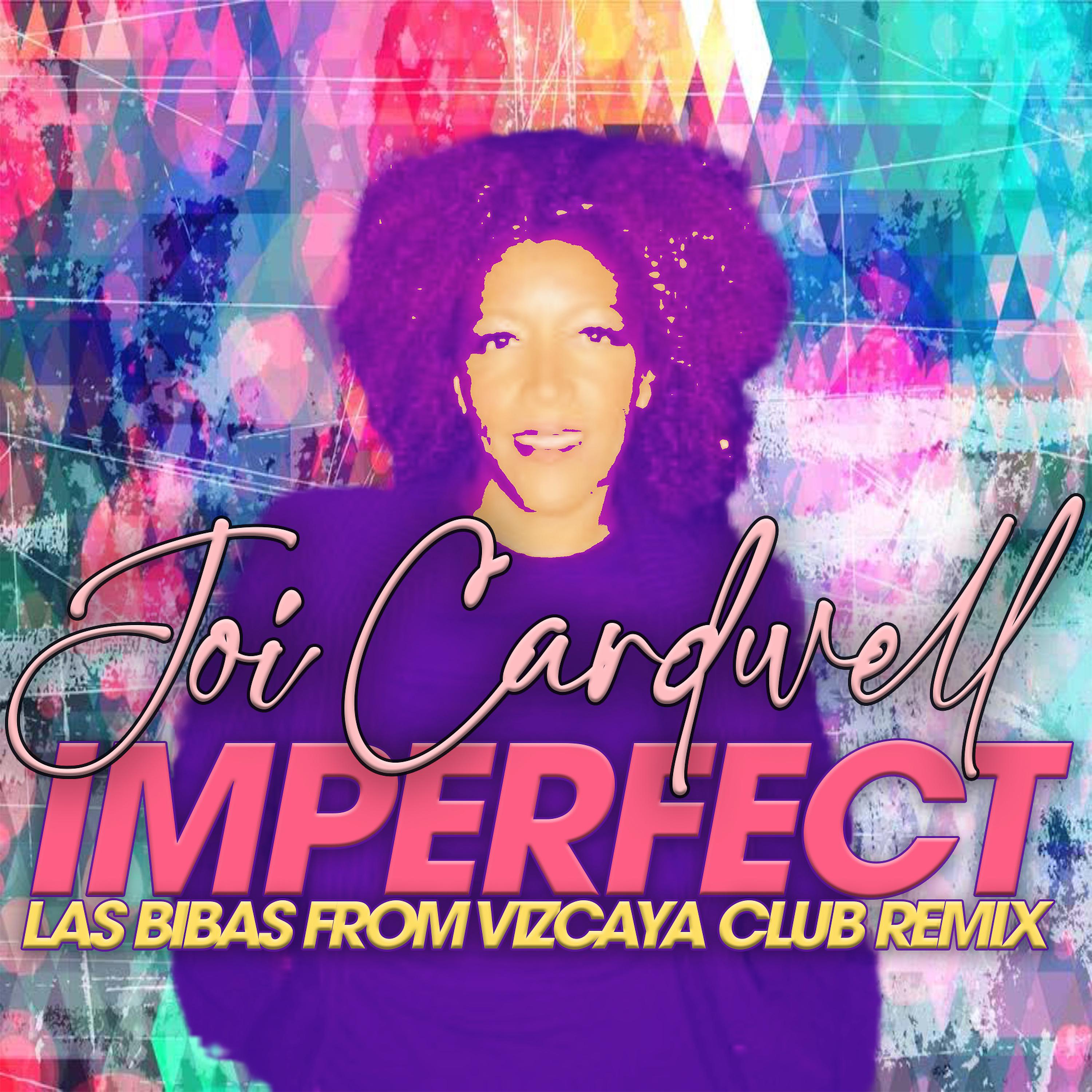 Постер альбома Imperfect (Las Bibas from Vizcaya Remixes)