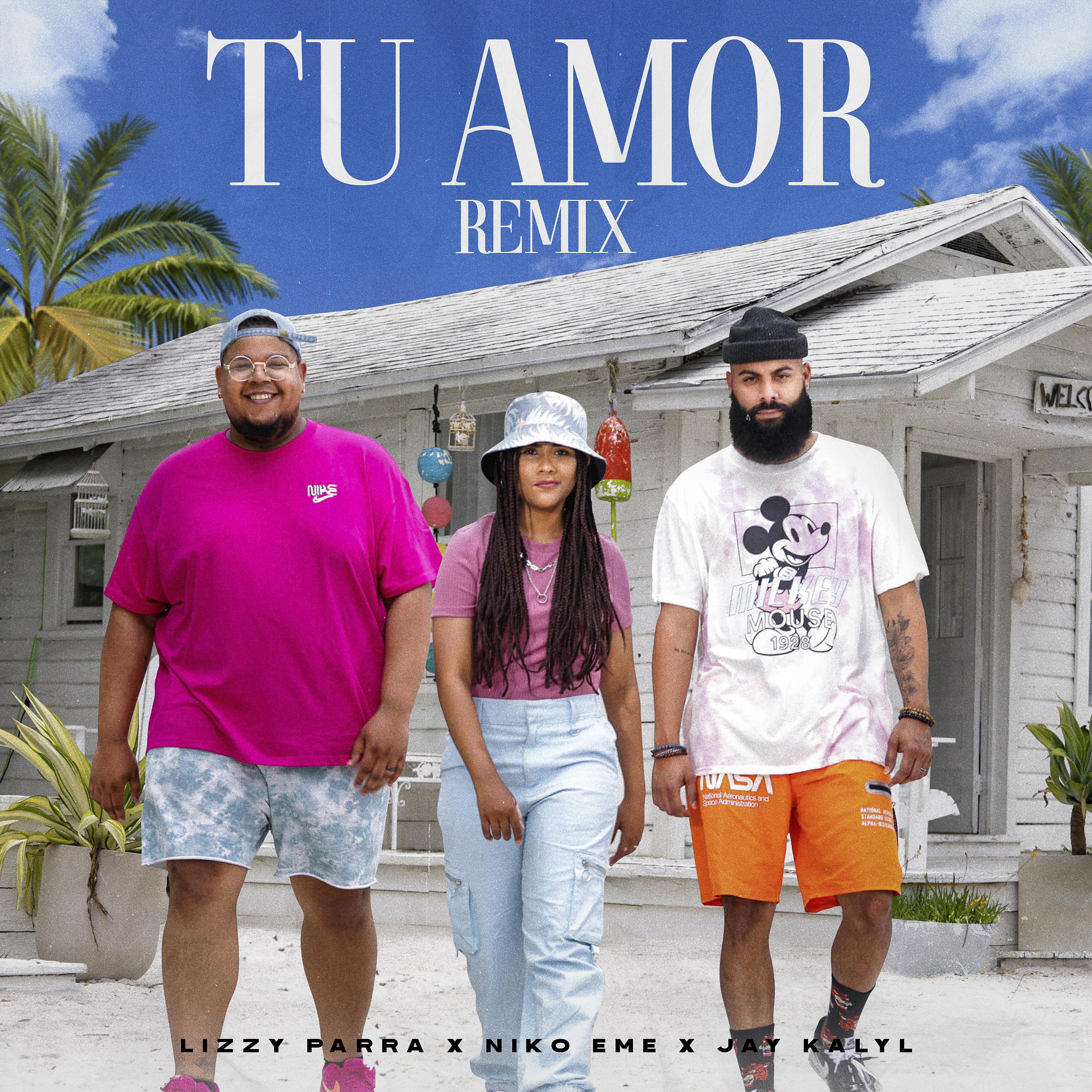 Постер альбома Tu Amor (Remix)