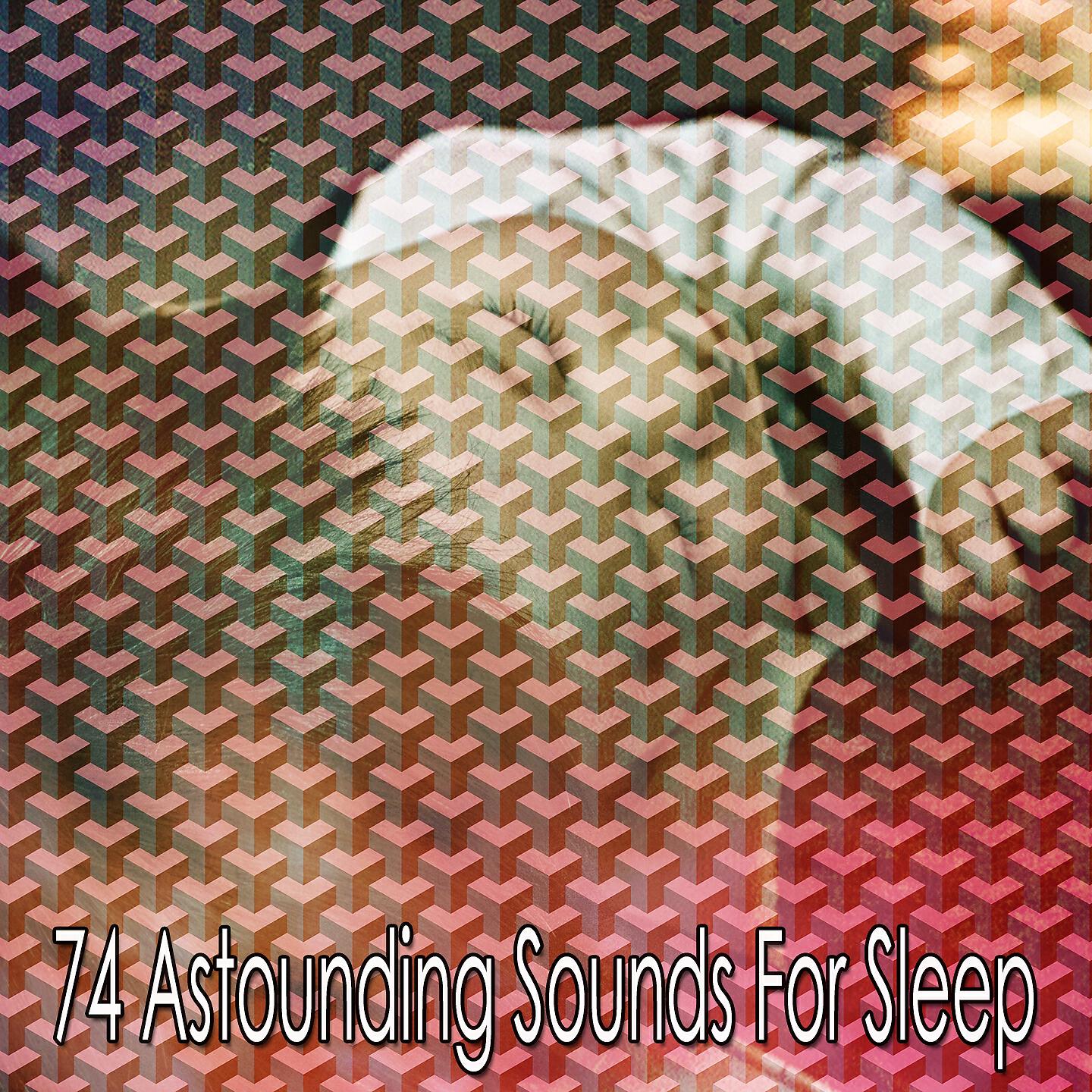 Einstein Baby Lullaby Academy - Extinguishing the Insomniacs Anguish