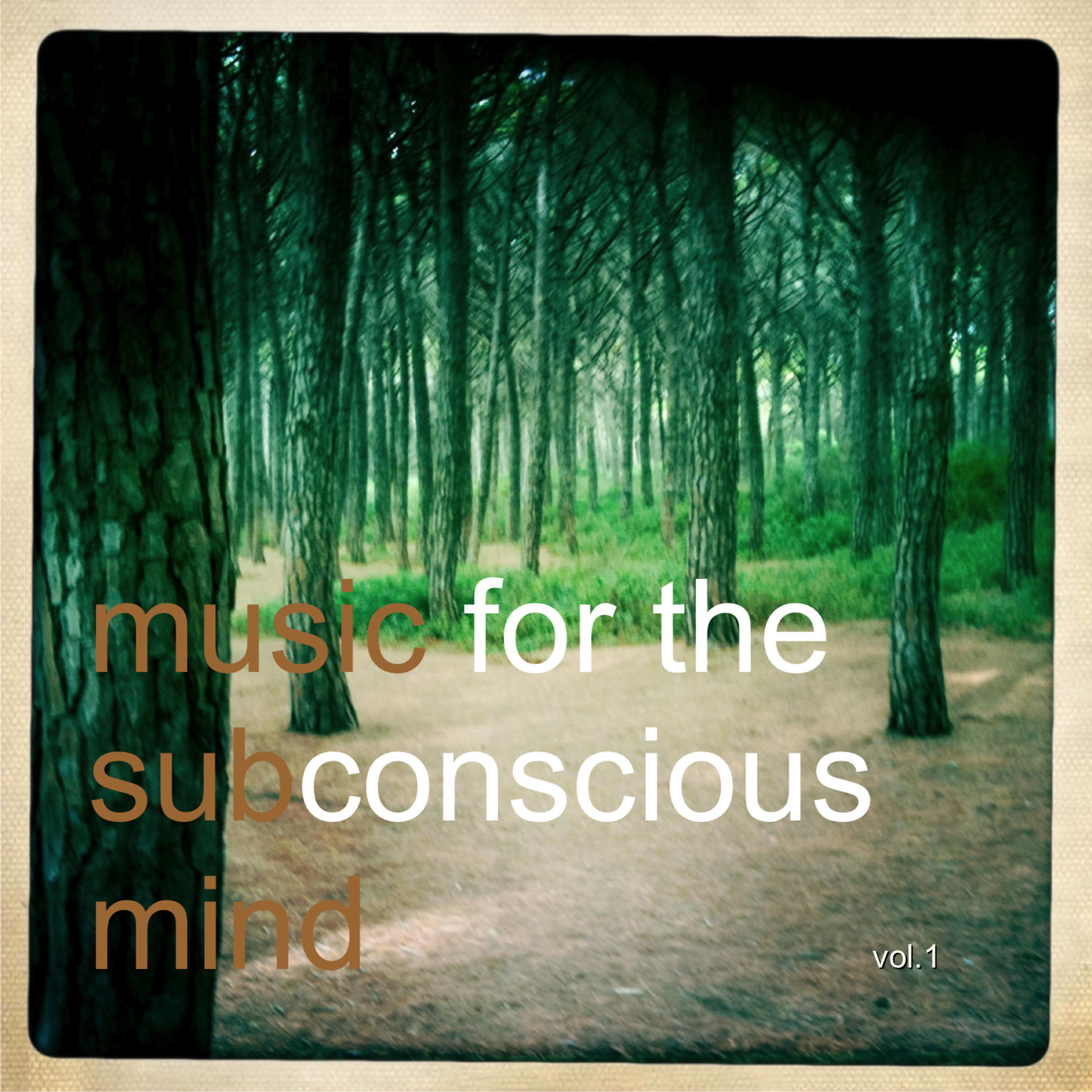 Постер альбома Music for the Subconscious Mind Vol.1