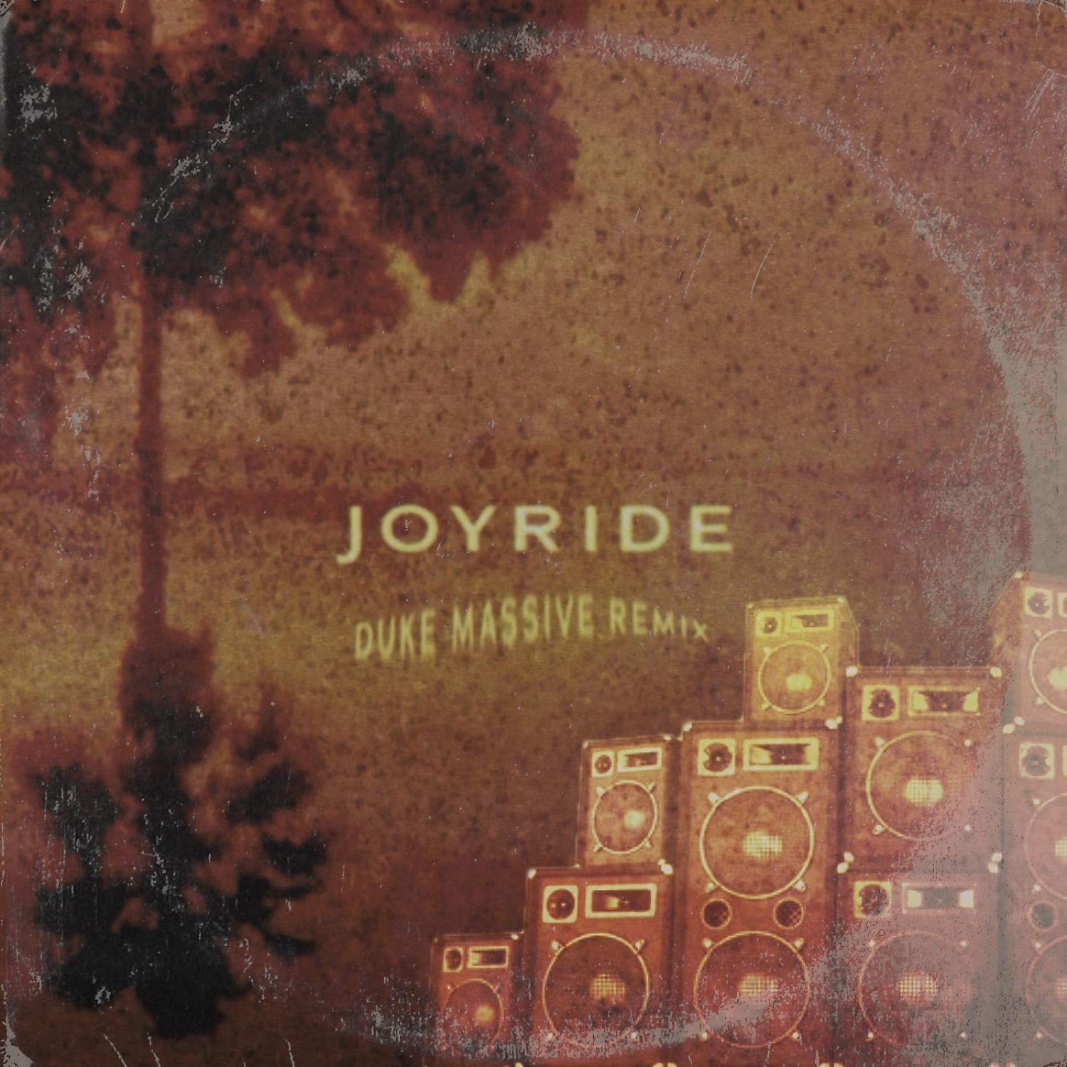 Постер альбома Joyride (Duke Massive Remix)