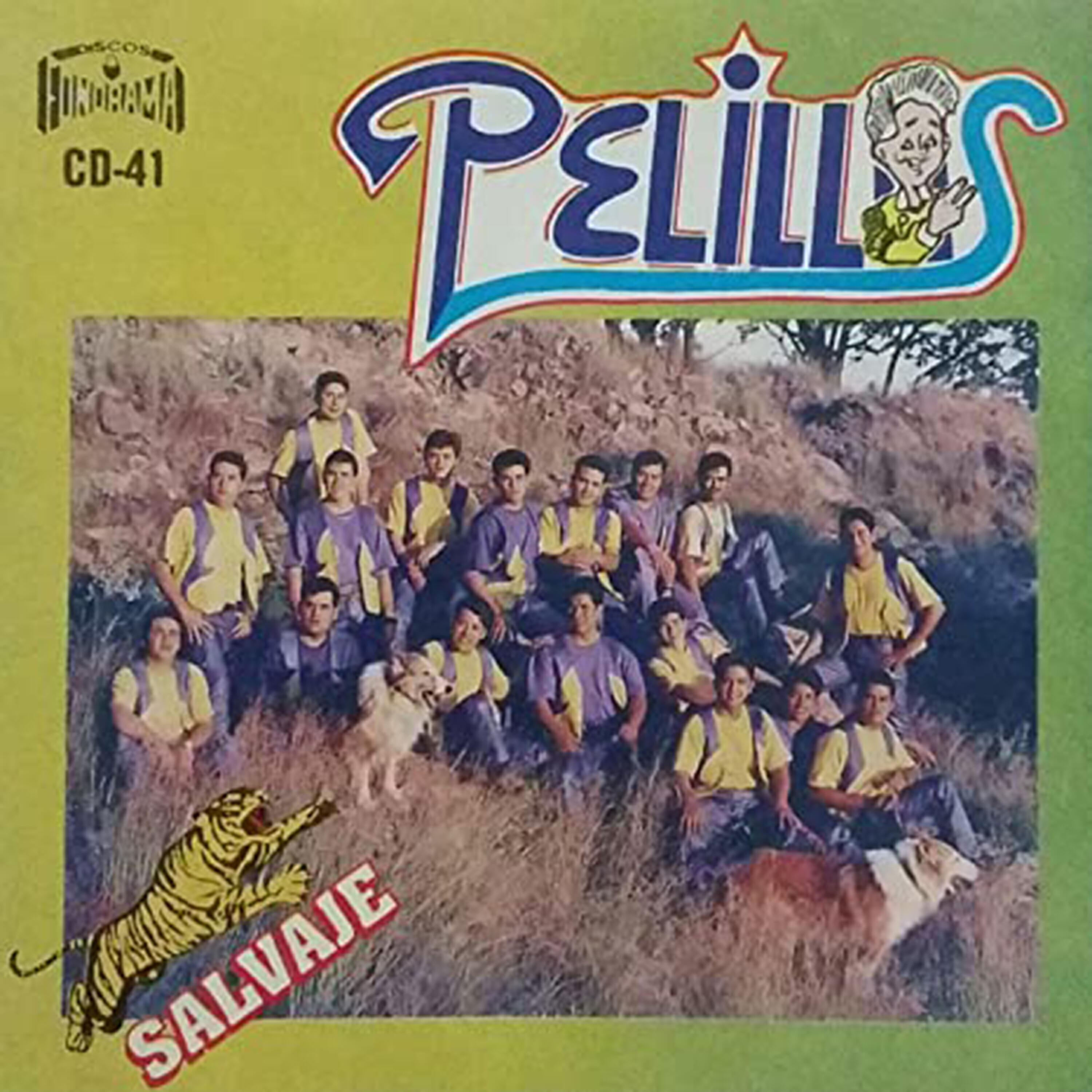 BANDA PELILLOS - Todo Ha Terminado