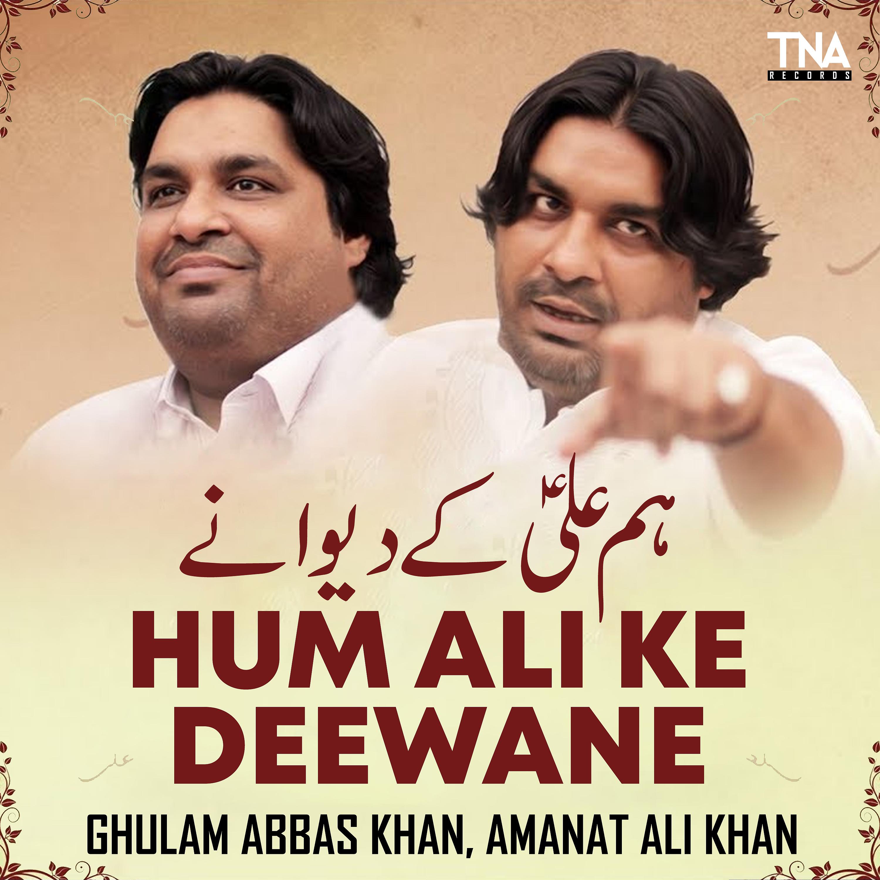 Постер альбома Hum Ali Ke Deewane - Single