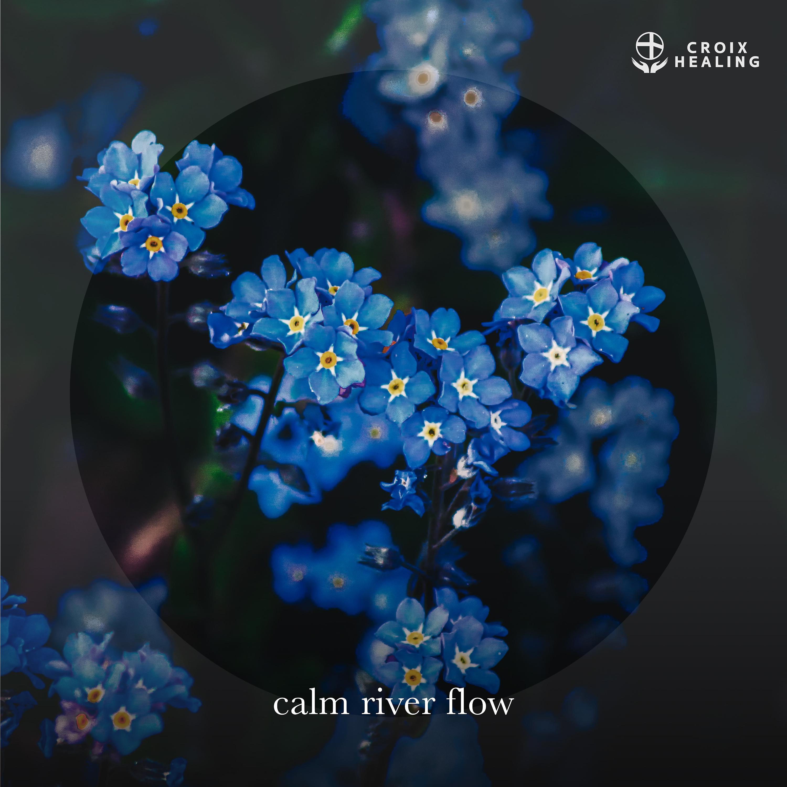 Постер альбома Calm River Flow