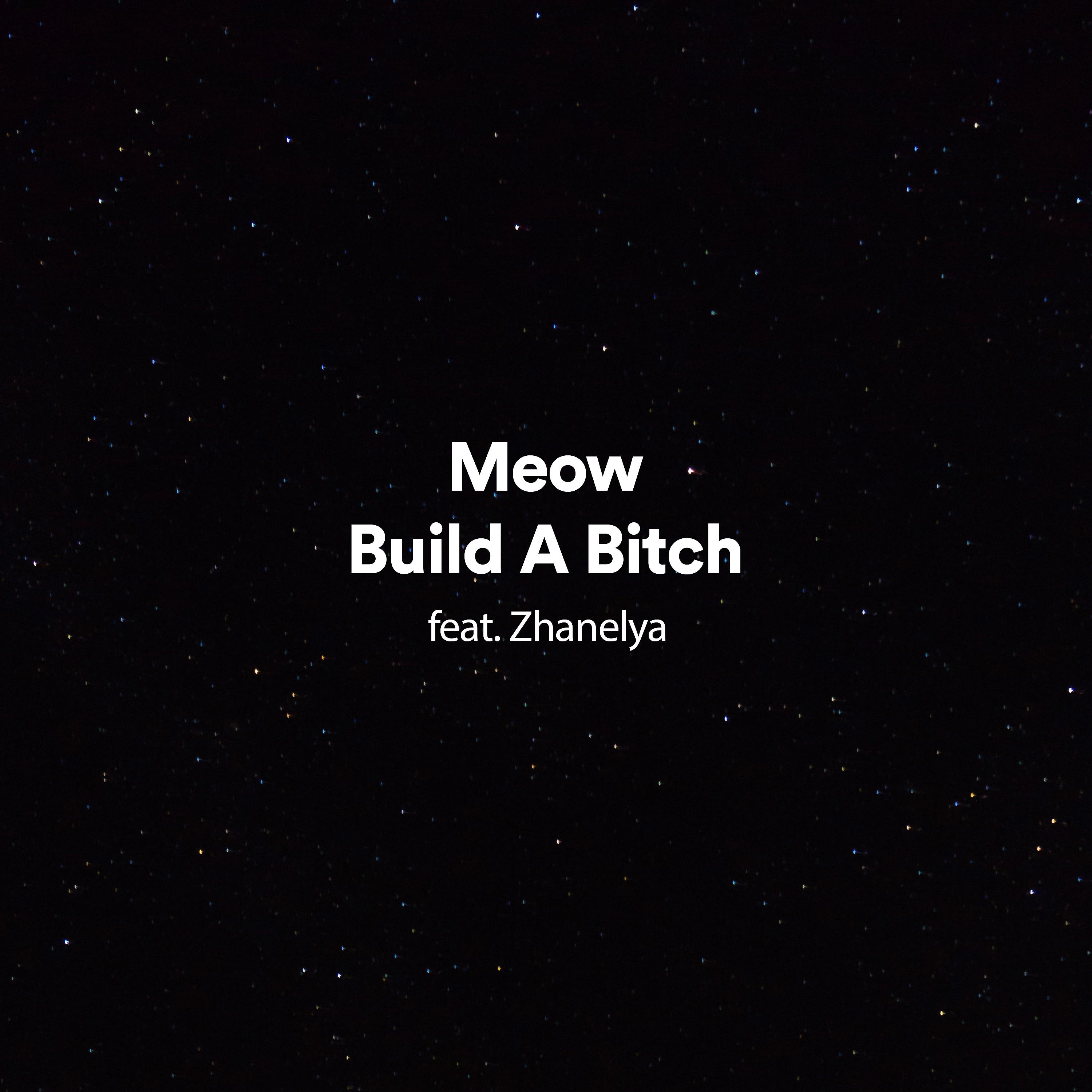 Постер альбома Build a Bitch