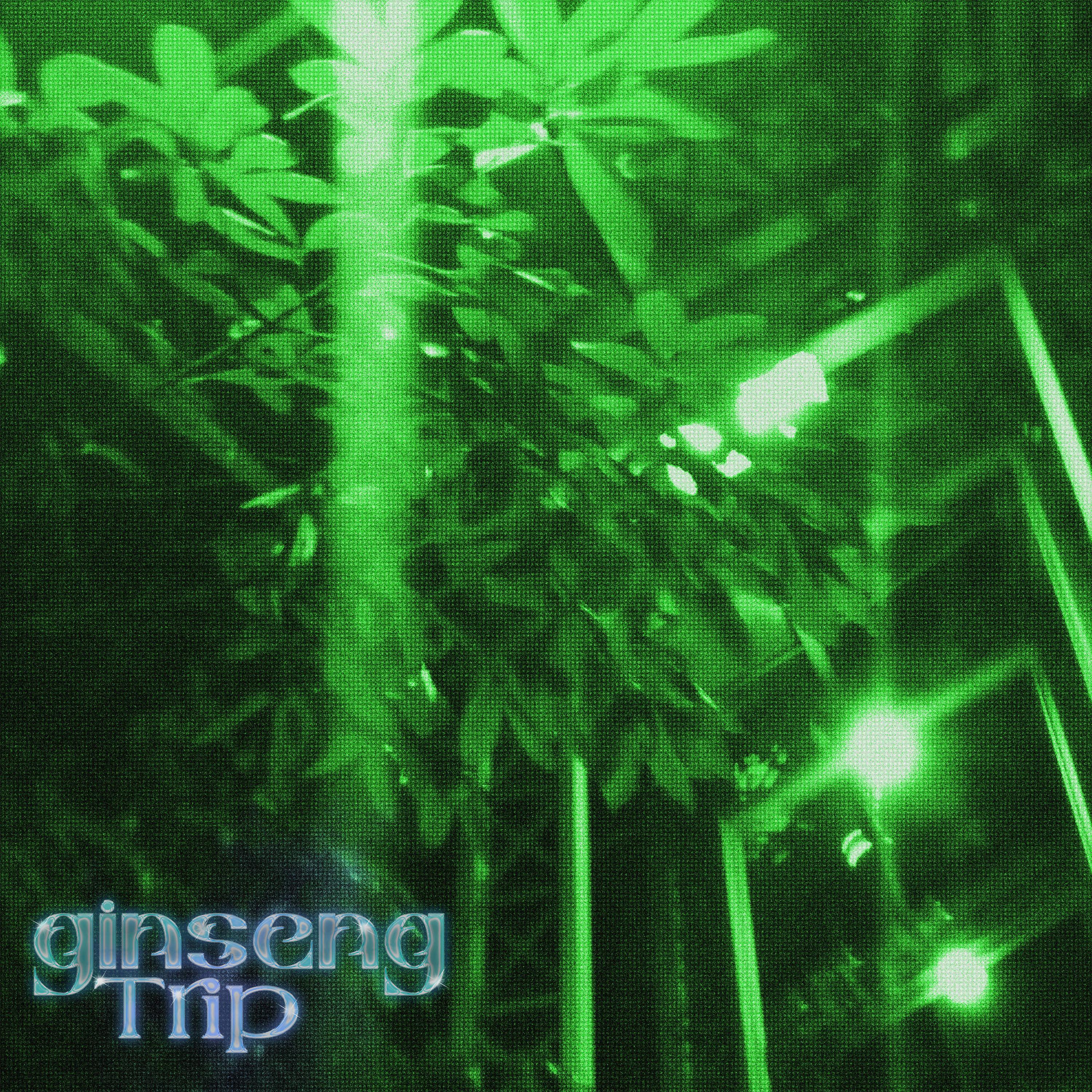 Постер альбома Ginseng Trip (prod. by Rollie)