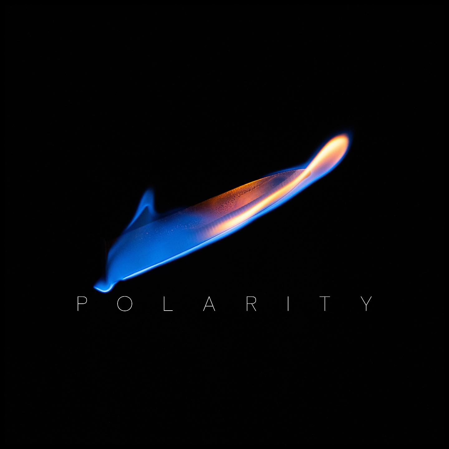 Постер альбома Polarity