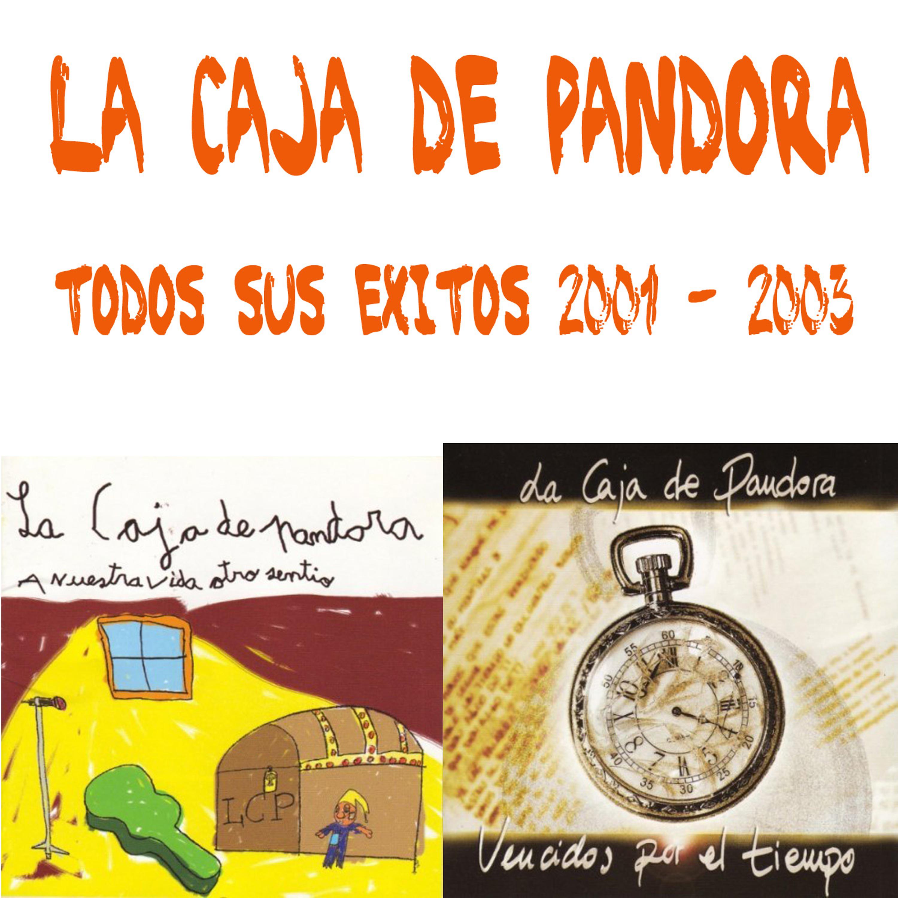 Постер альбома Todos Sus Exitos  2001-2003
