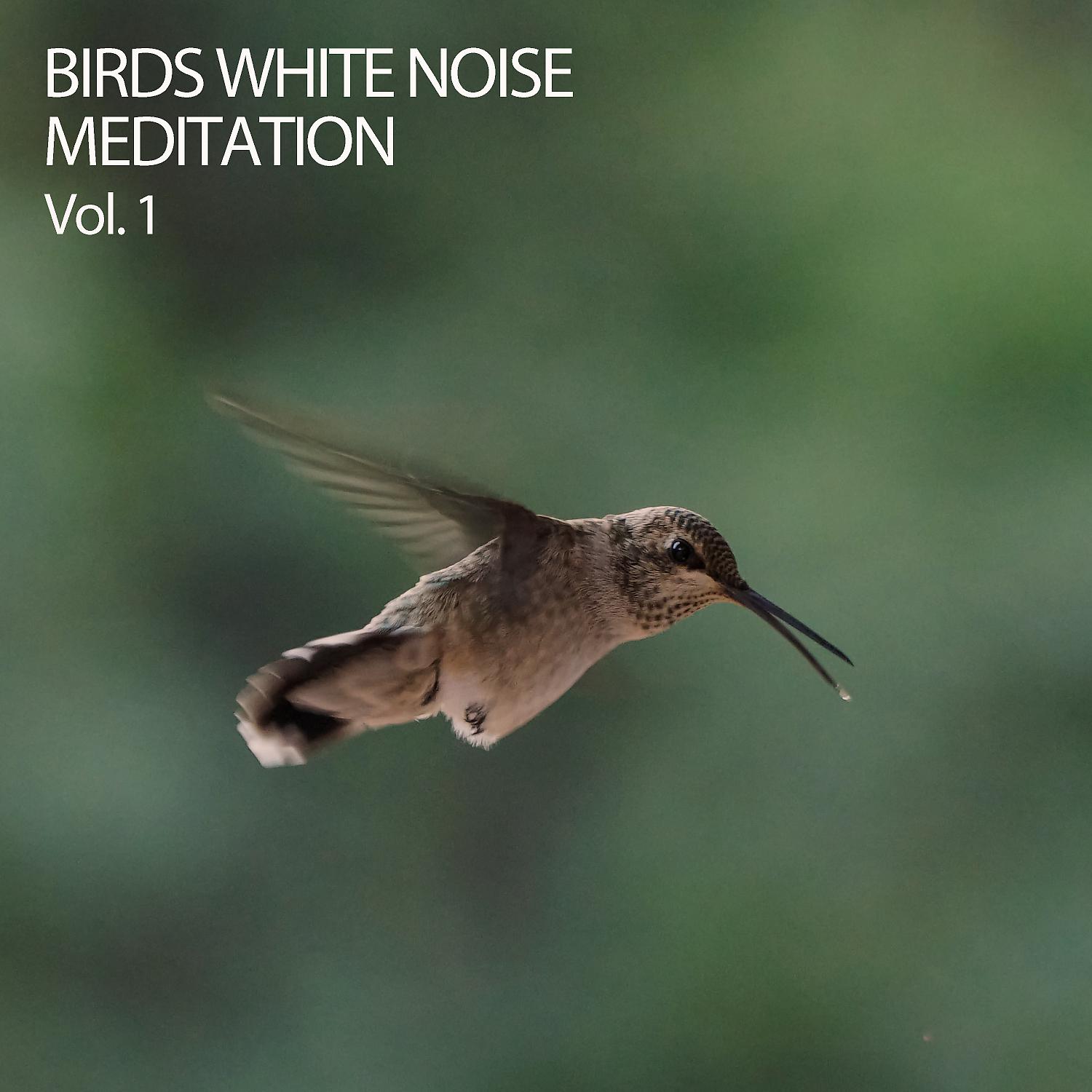 Постер альбома Birds White Noise Meditation Vol. 1
