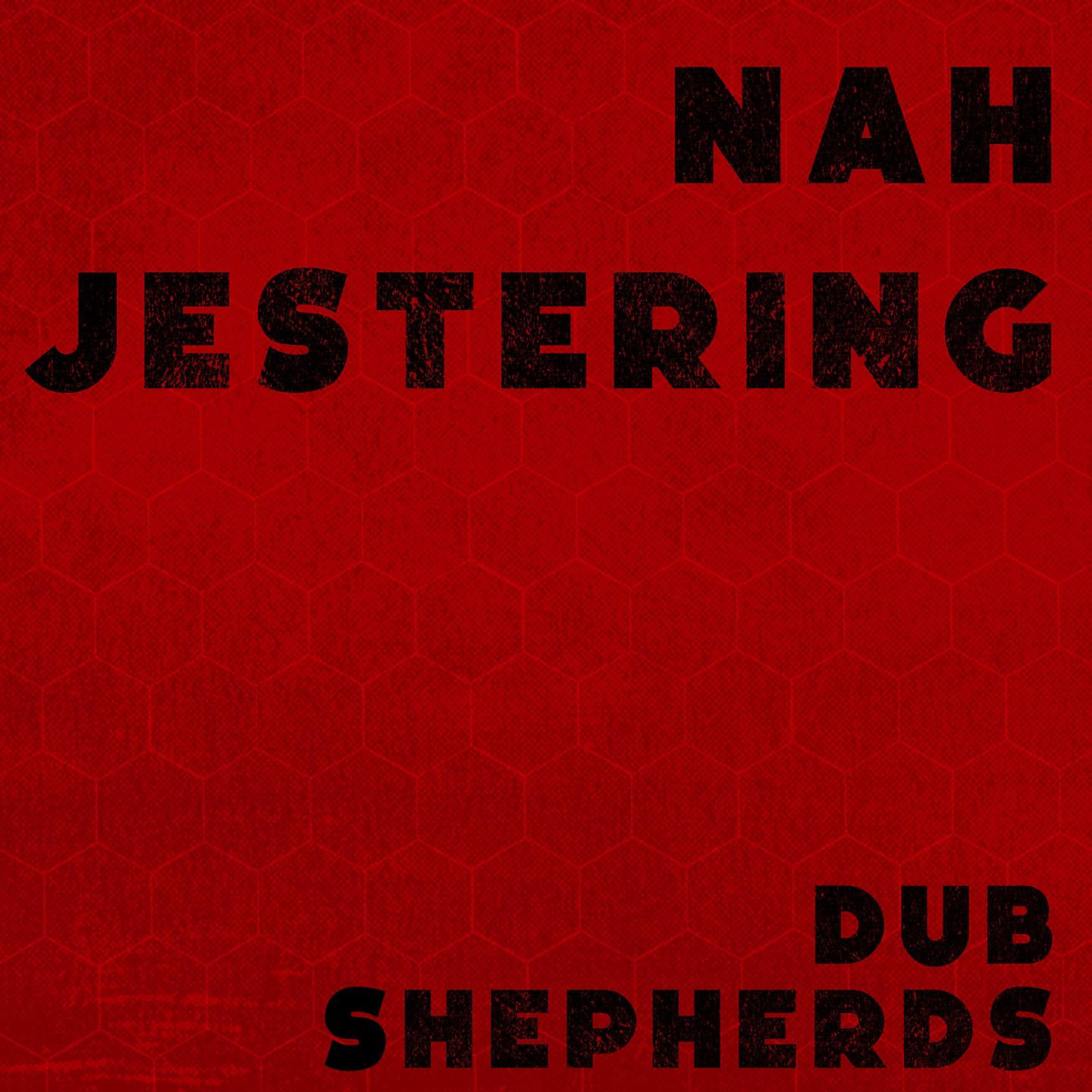 Постер альбома Nah Jestering