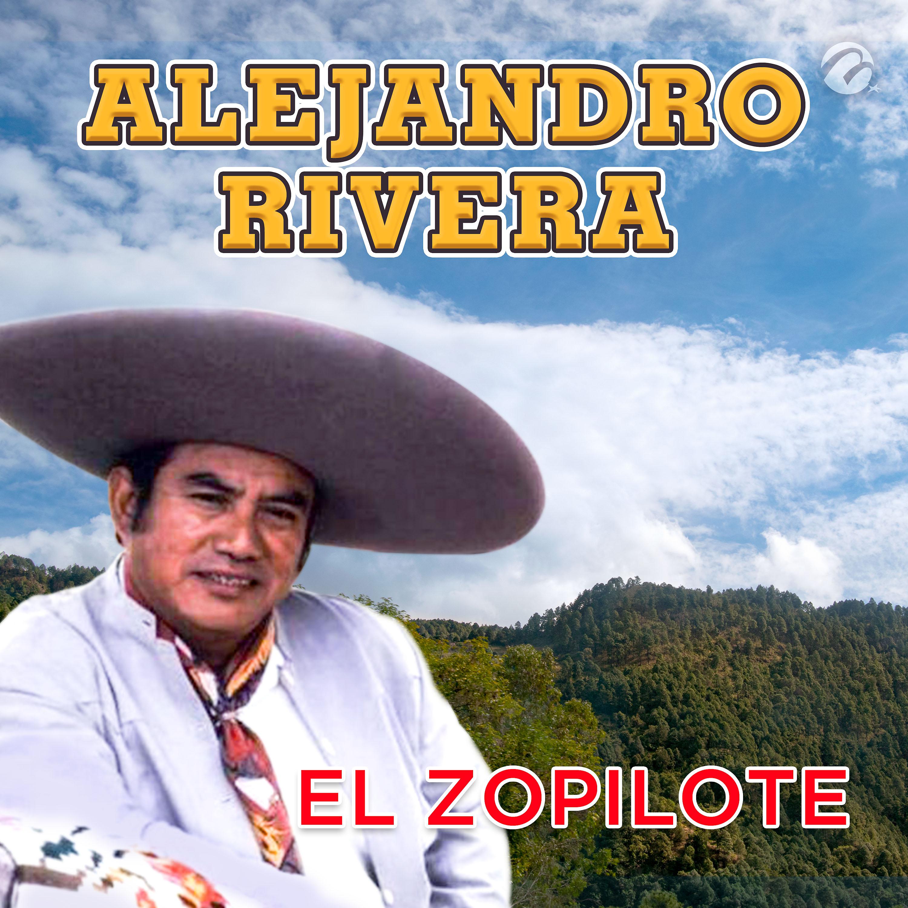 Постер альбома El Zopilote