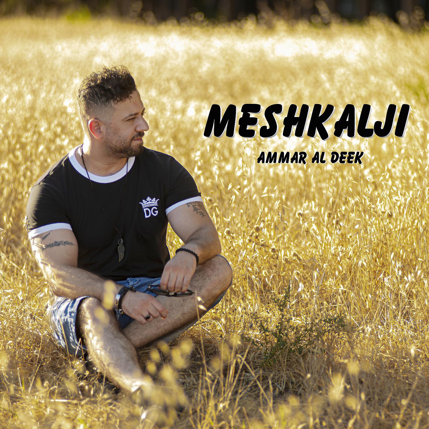 Постер альбома Meshkalji