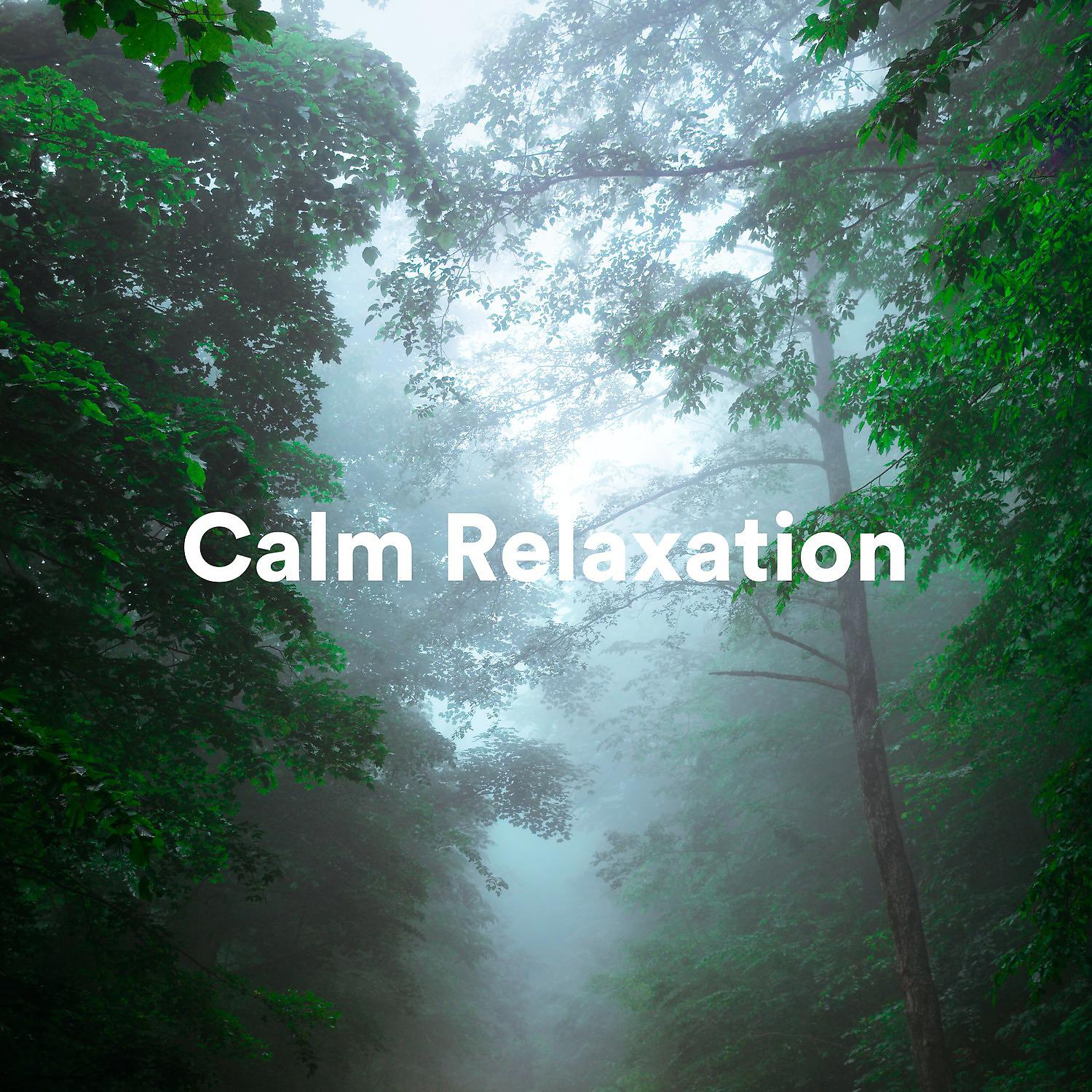Постер альбома Calm Relaxation