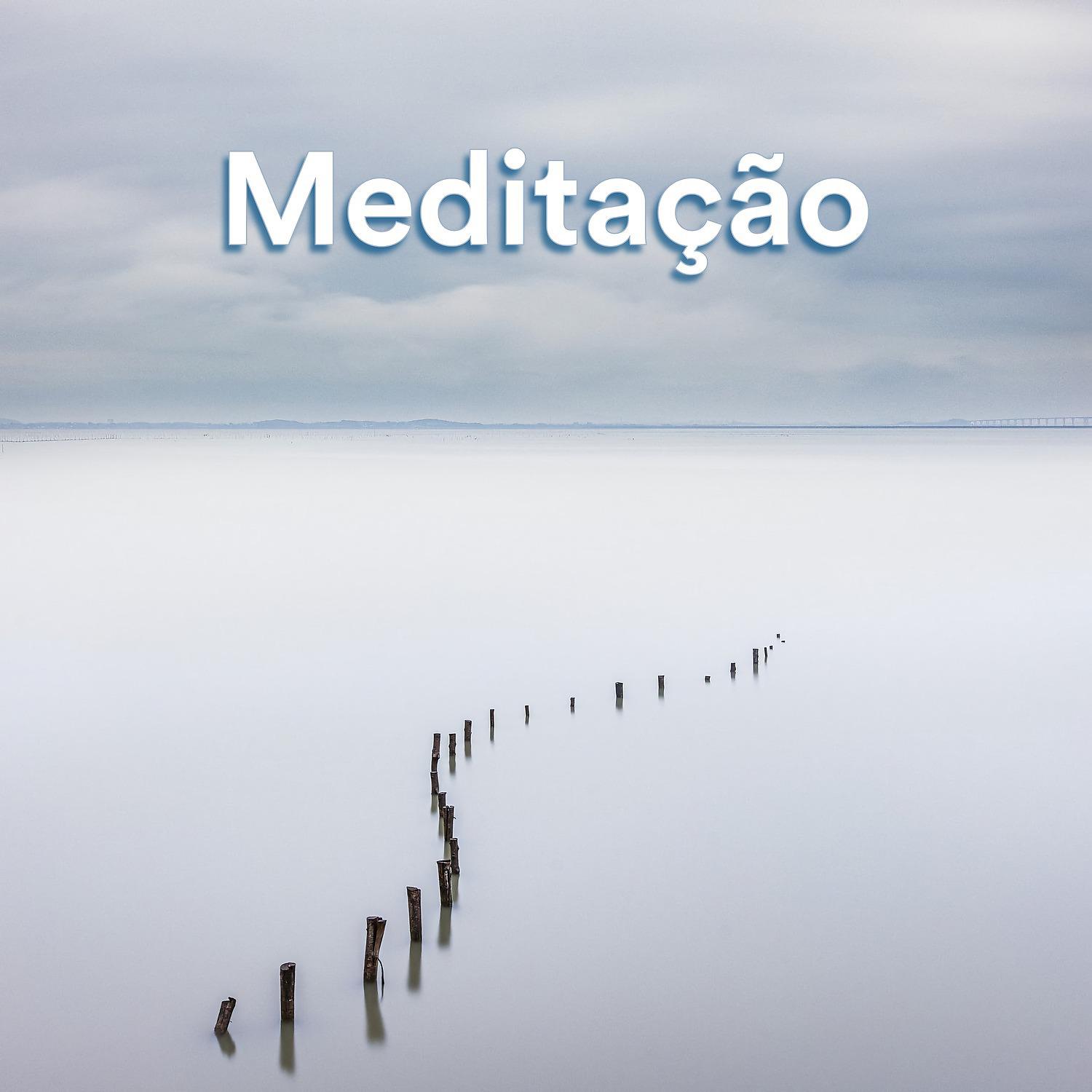 Постер альбома Meditação