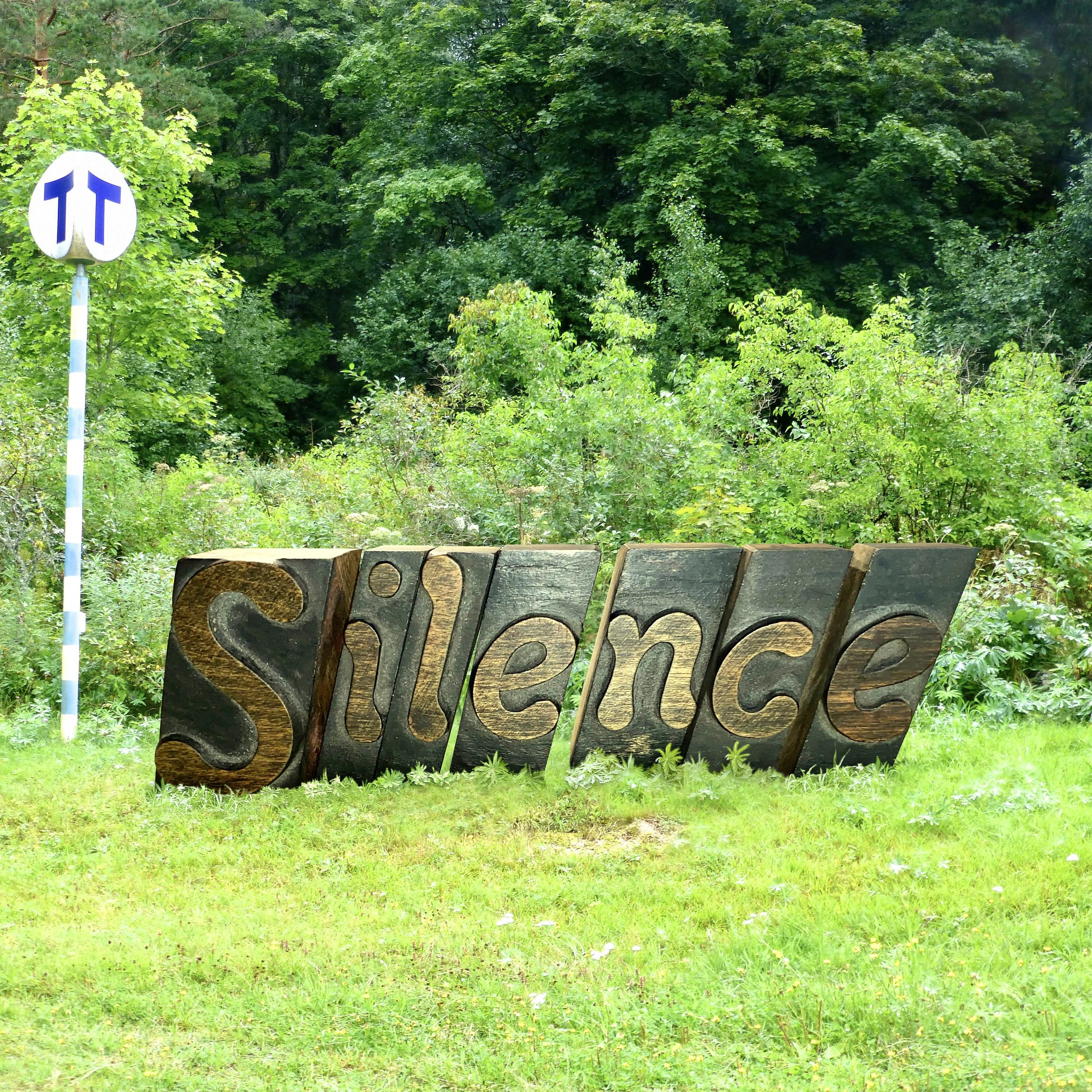 Постер альбома Silence - Vild i skogen