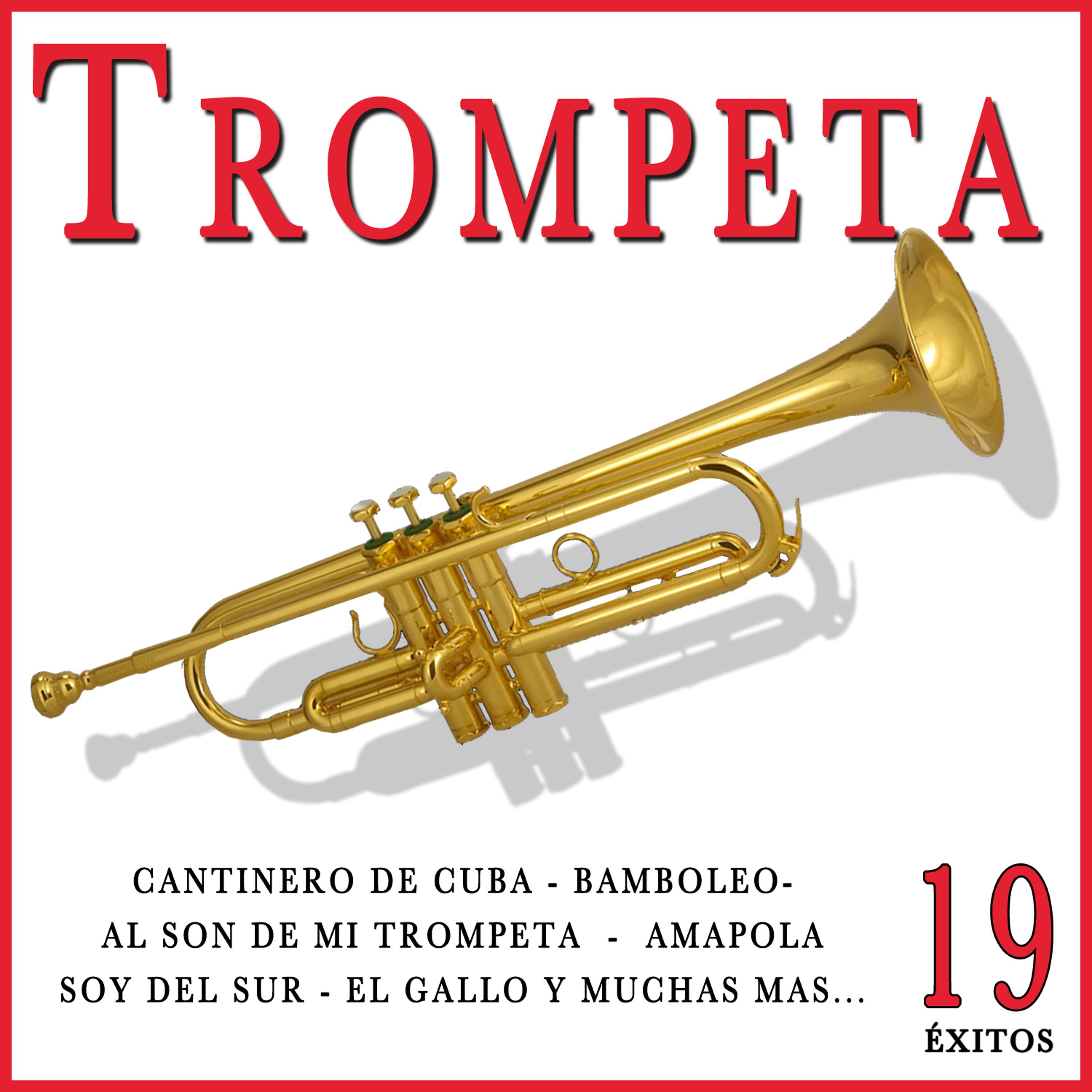 Постер альбома 19 Éxitos Con Trompeta. Sevillanas, Rumbas y Música Latina