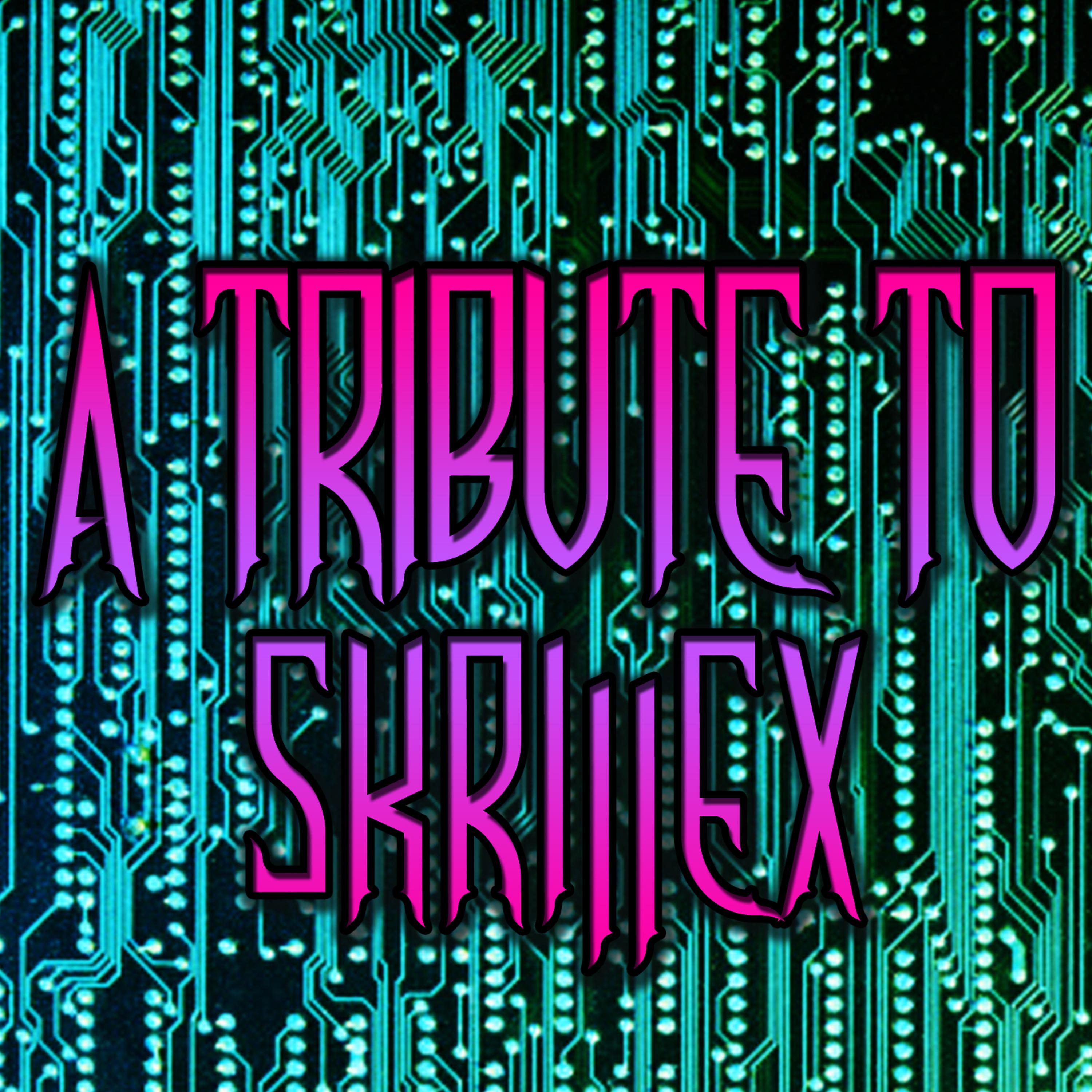 Постер альбома A Tribute to Skrillex