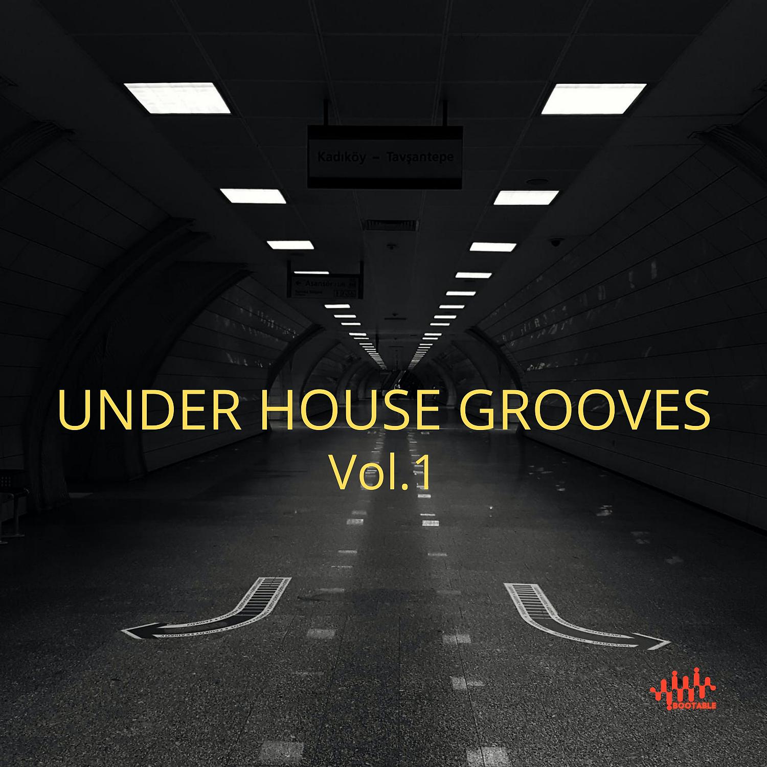 Постер альбома Under House Grooves, Vol.1