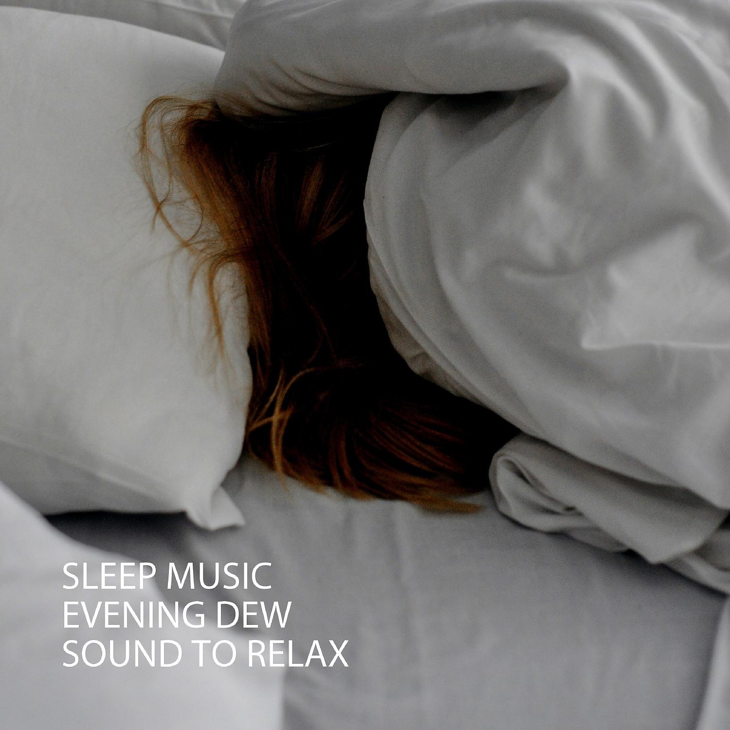 Постер альбома Sleep Music: Evening Dew Sound To Relax