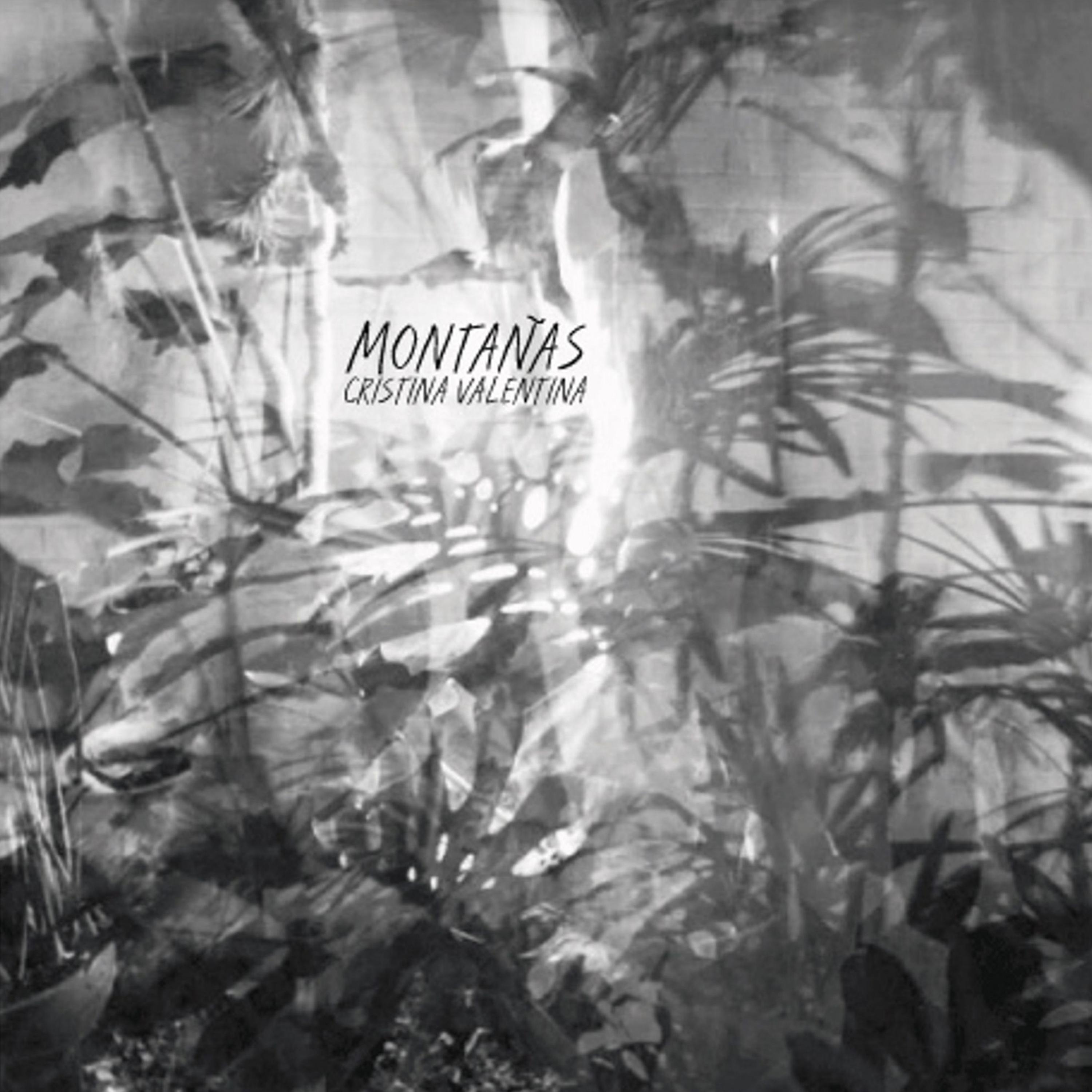 Постер альбома Montañas