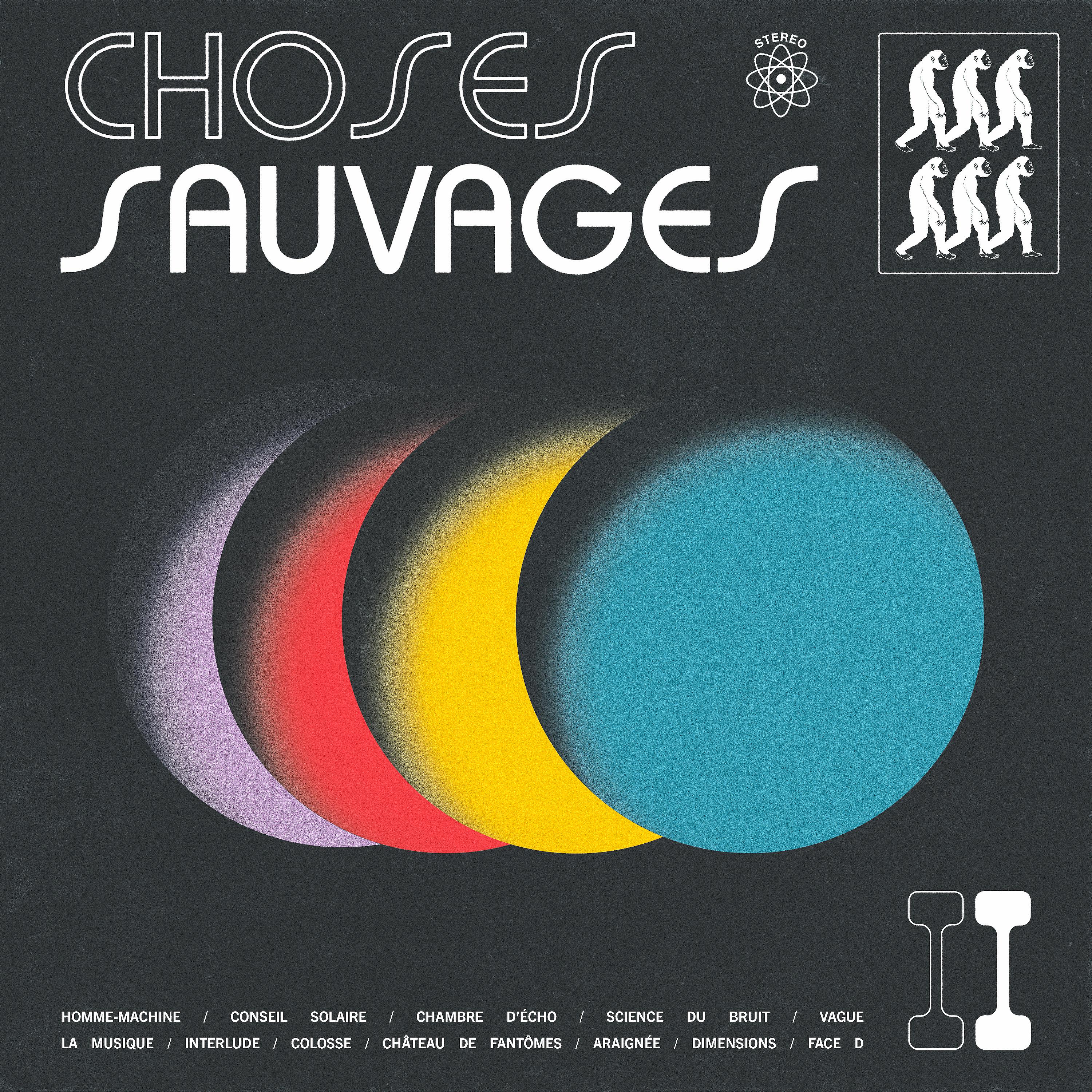 Постер альбома Choses Sauvages II