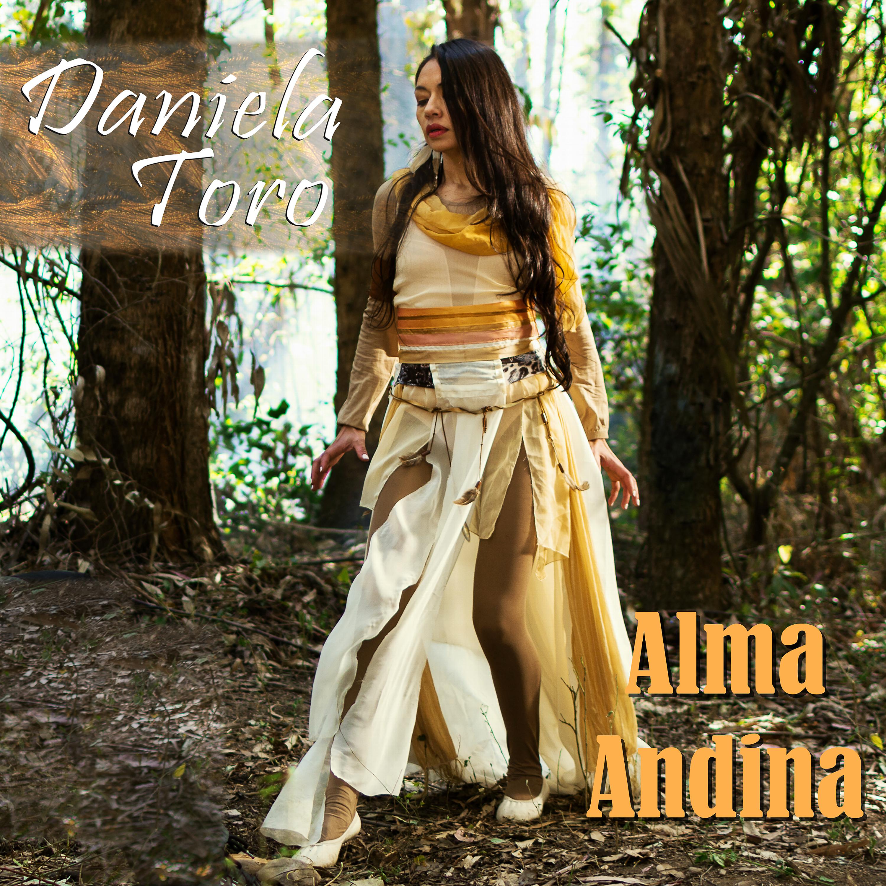 Постер альбома Alma Andina