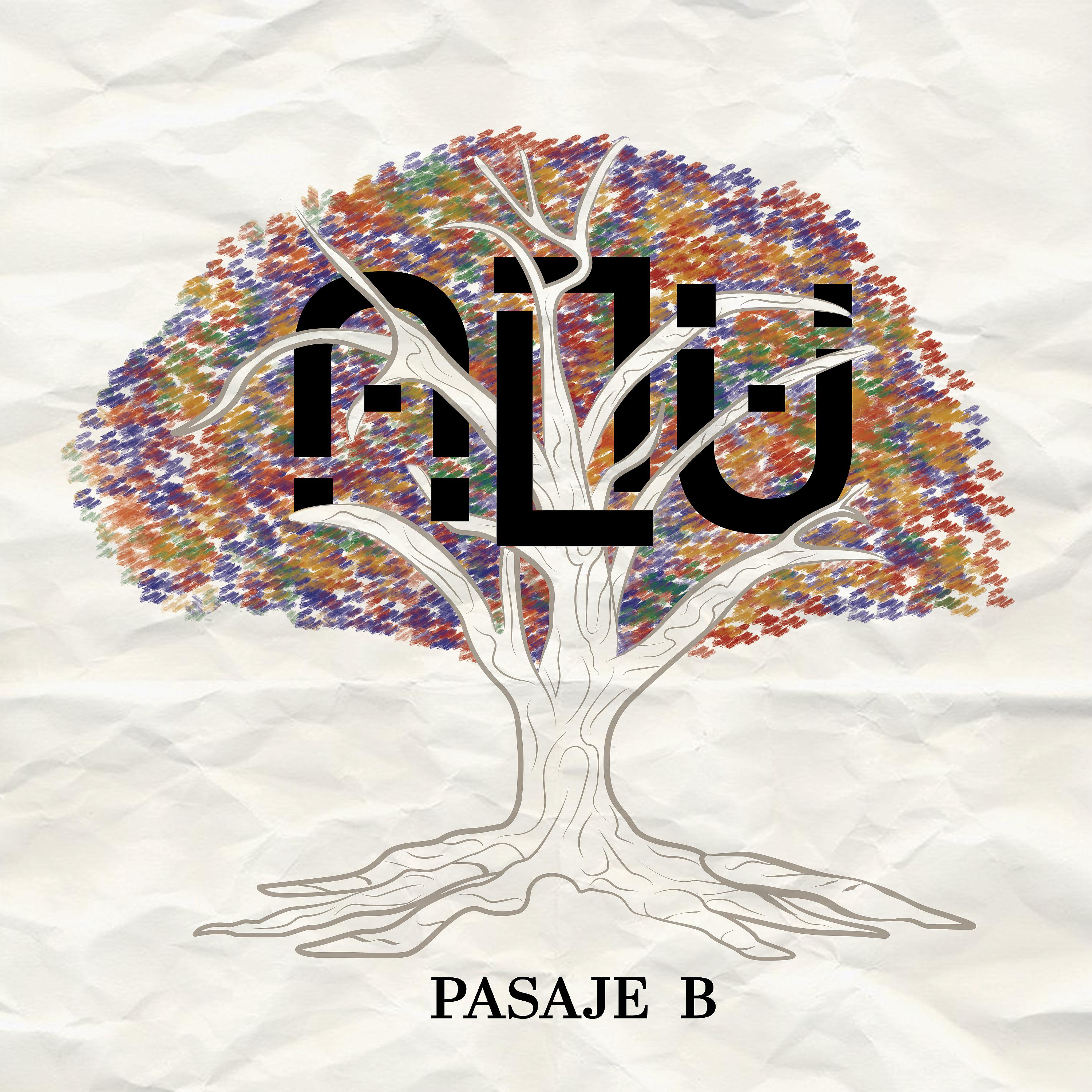 Постер альбома Pasaje B