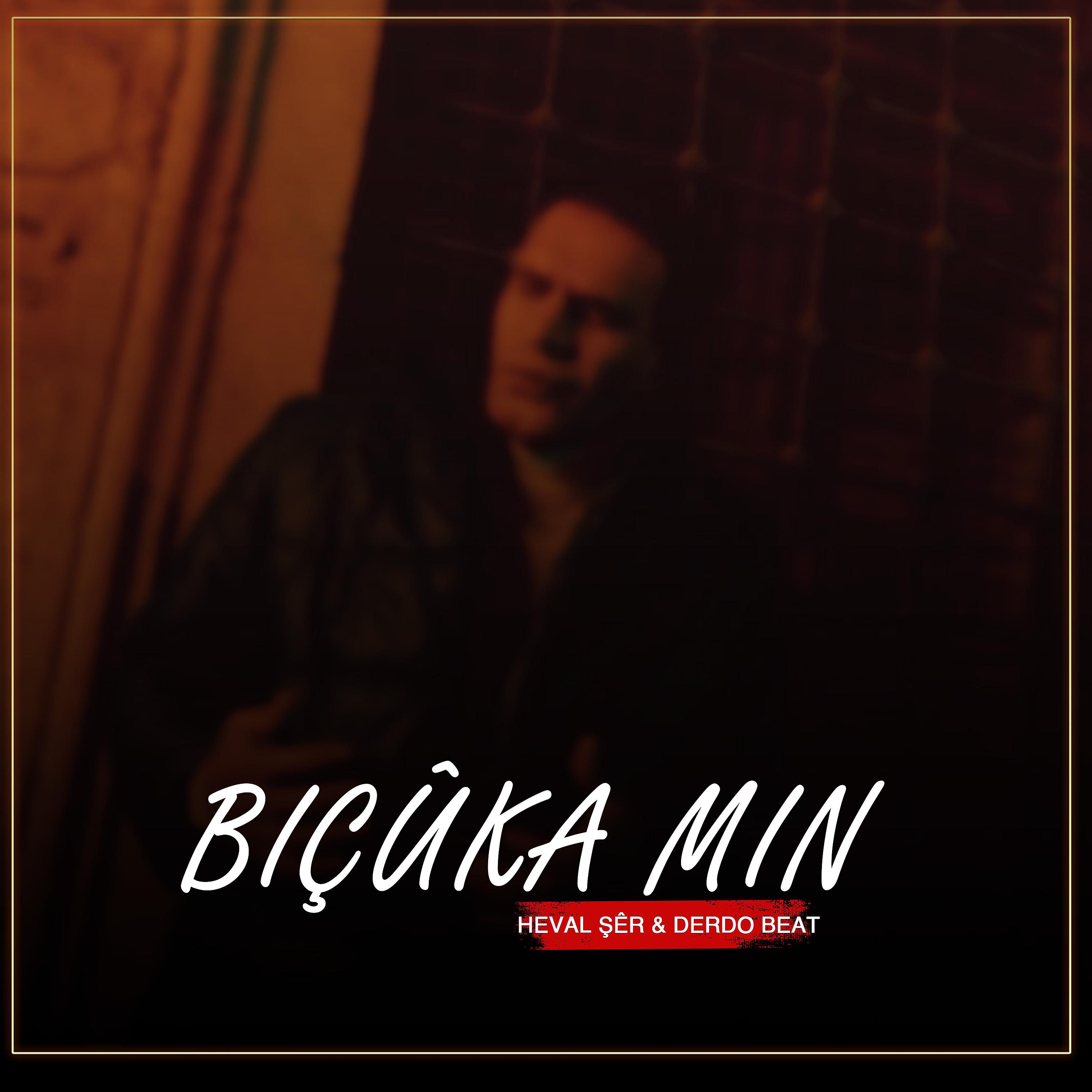 Постер альбома Biçûka Min (Trap Remix)