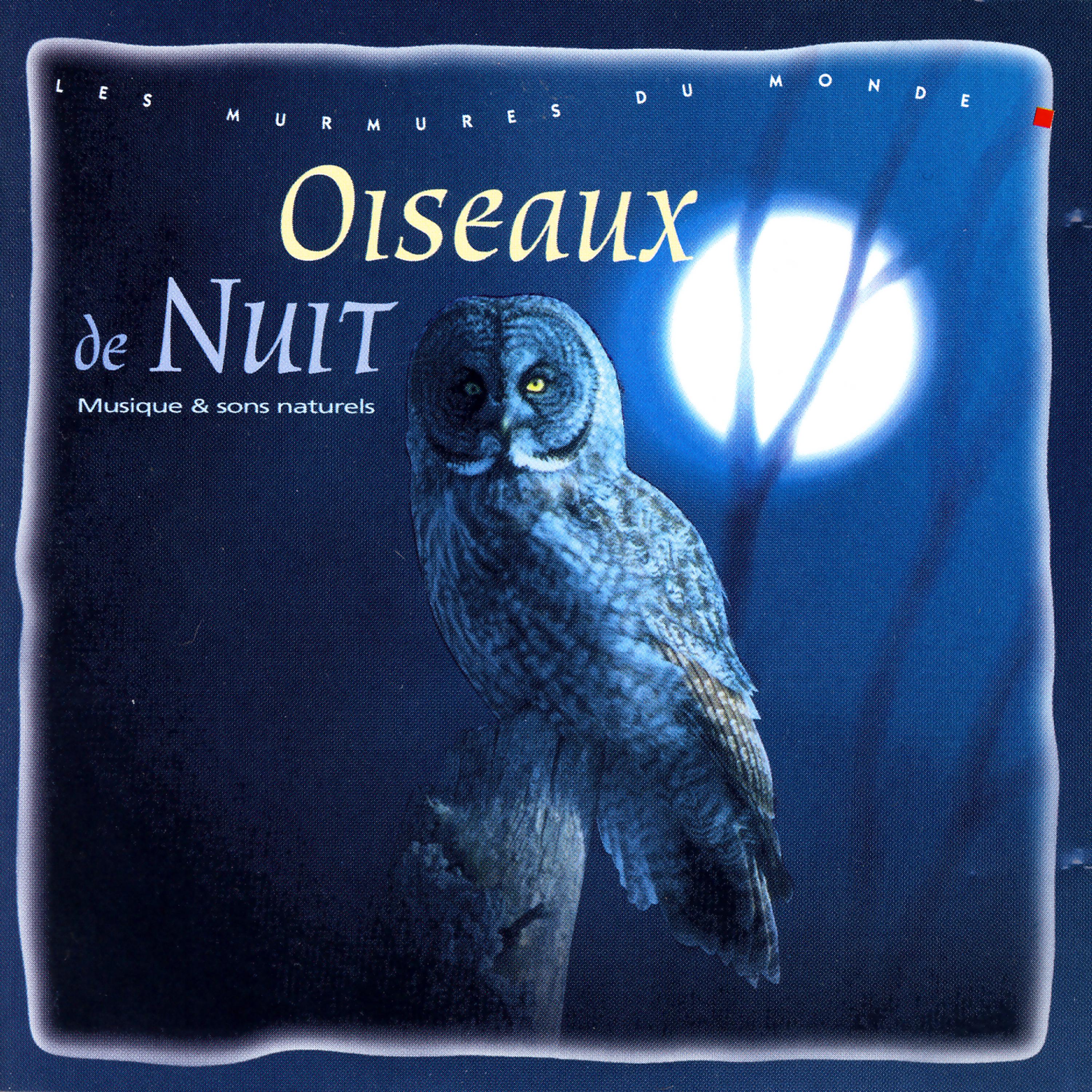 Постер альбома Oiseaux De Nuit