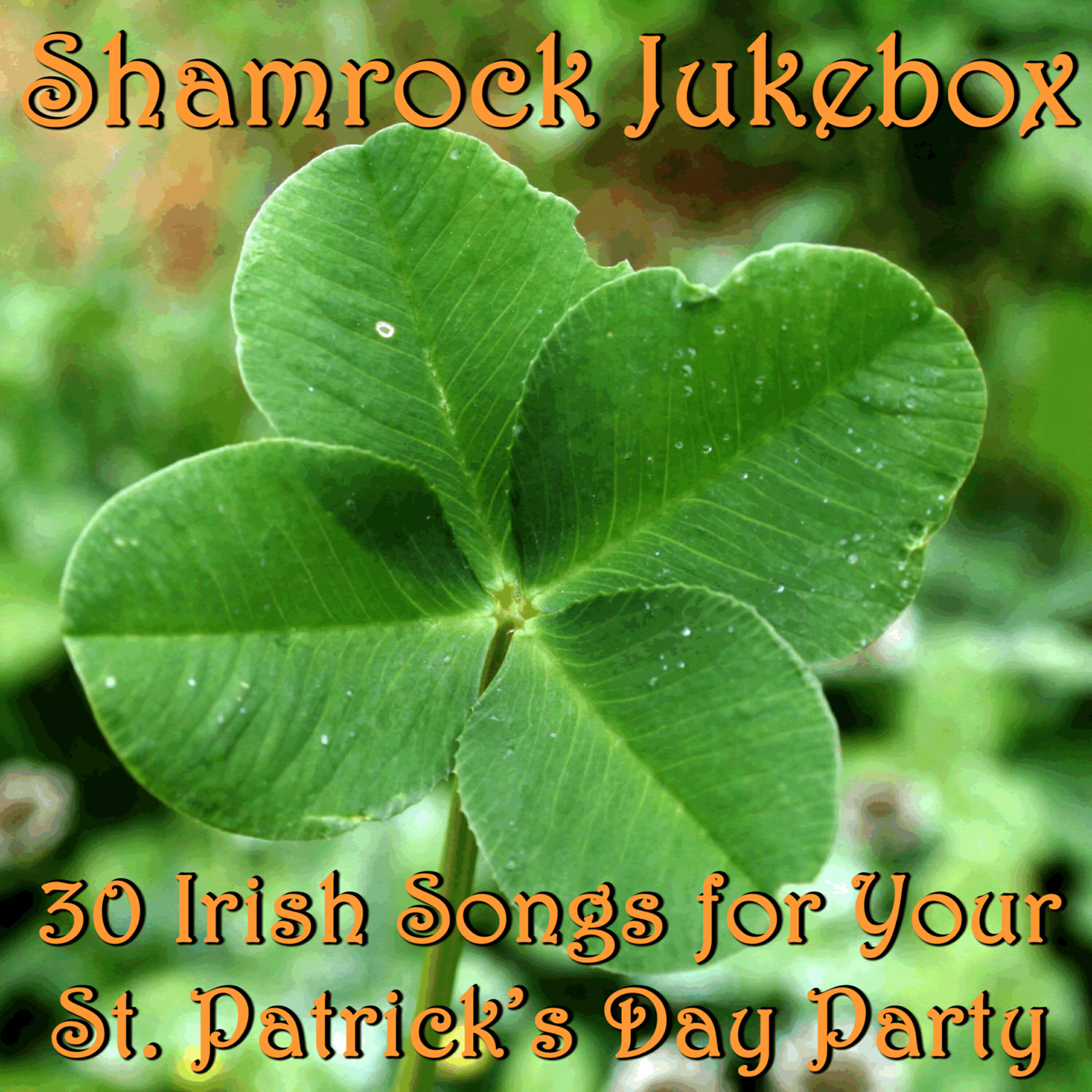 Irish Music Experts - An Irish Wish