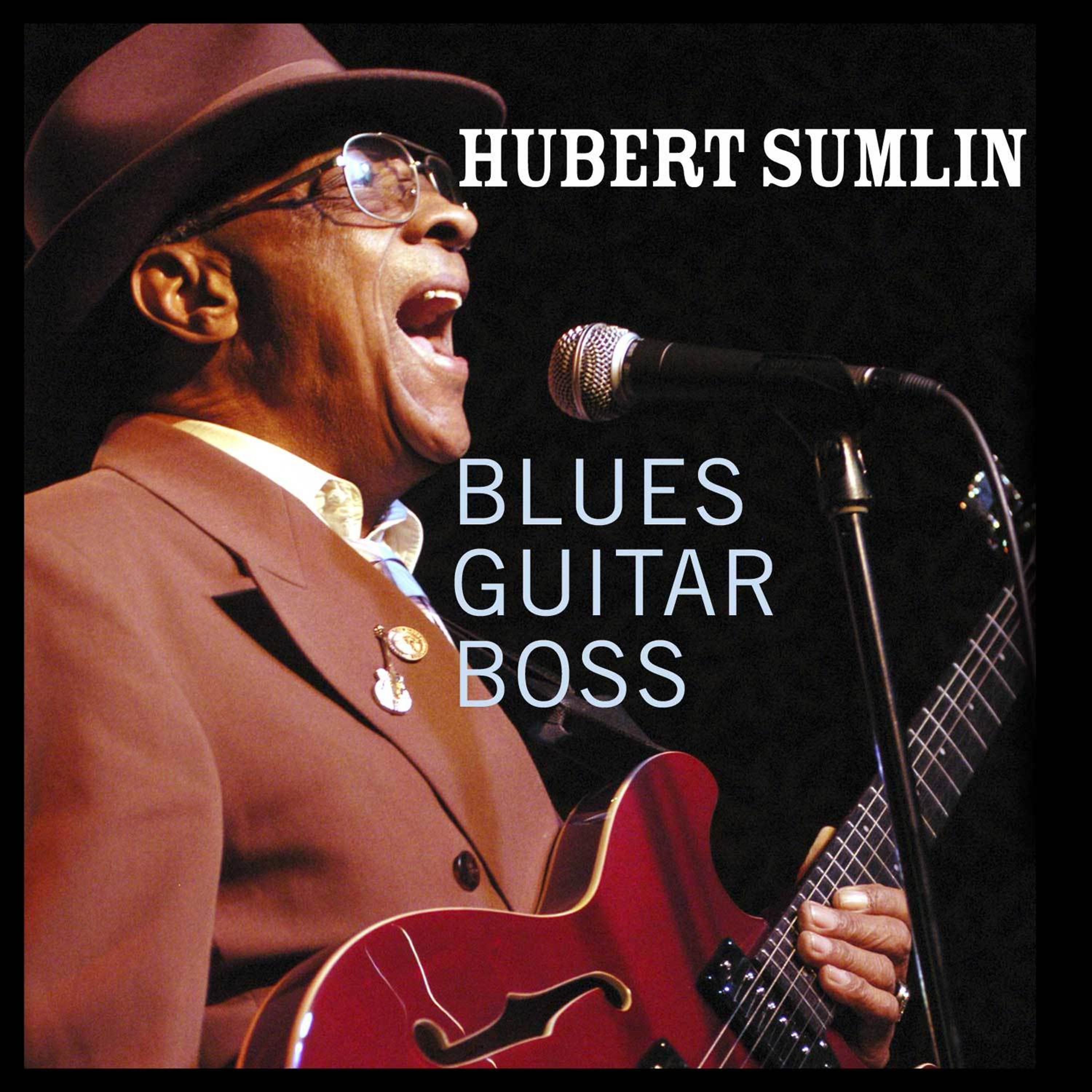 Постер альбома Blues Guitar Boss