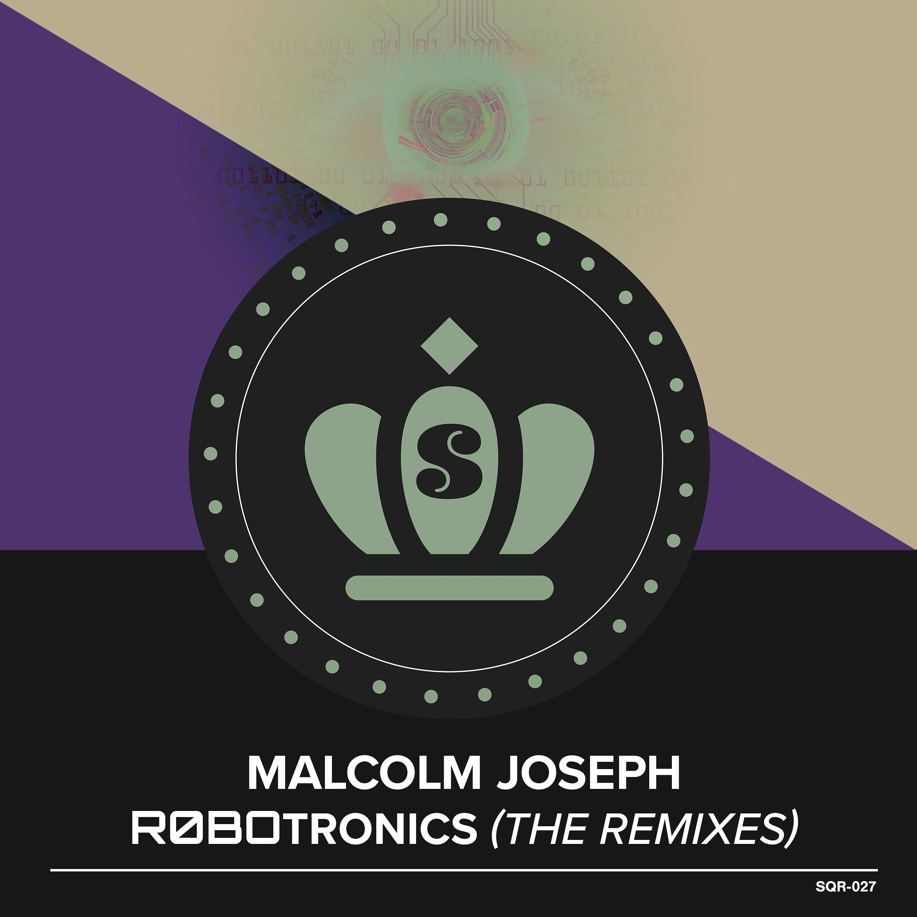 Постер альбома Robotronics (The Remixes)