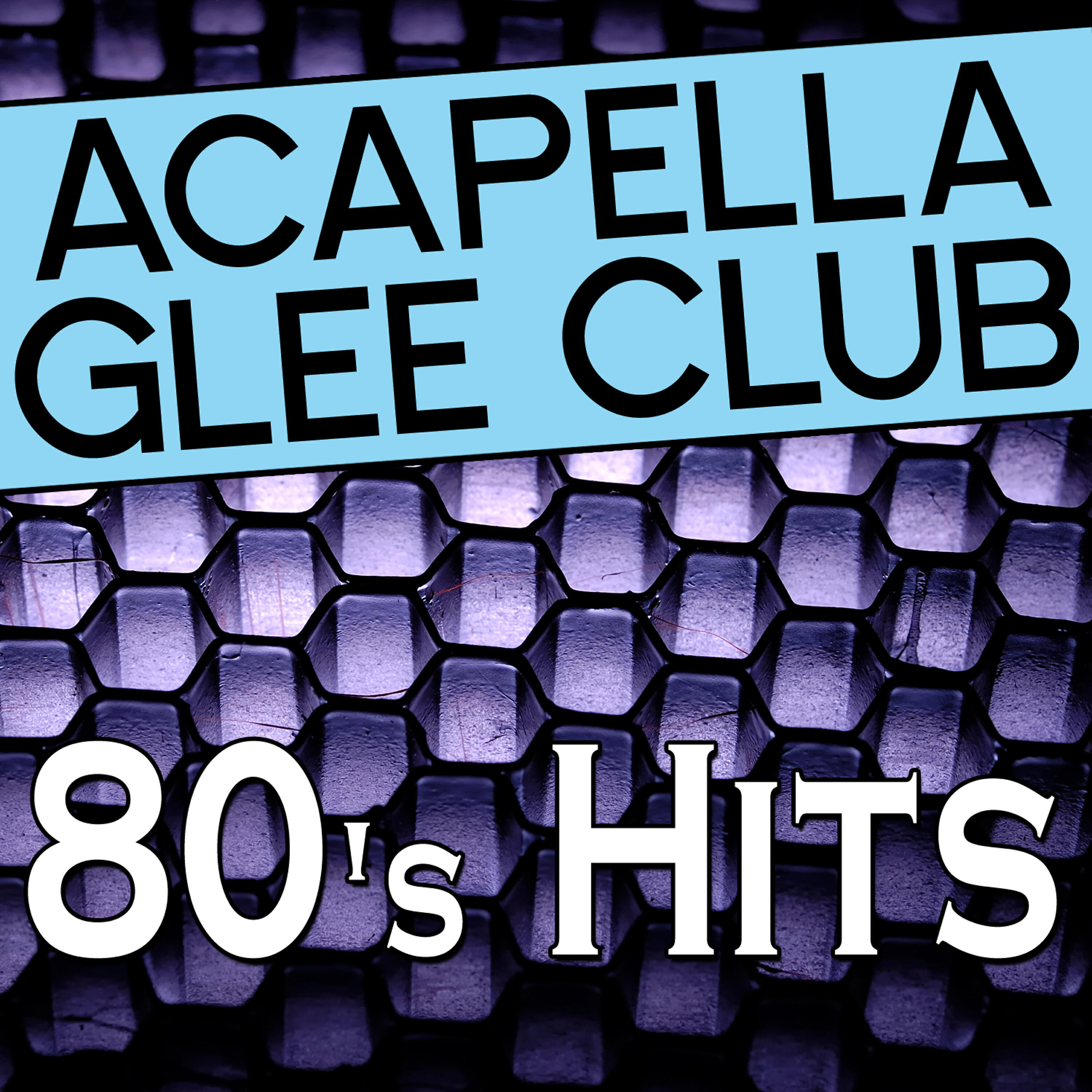 Acapella Glee Club - I Would Die 4 U
