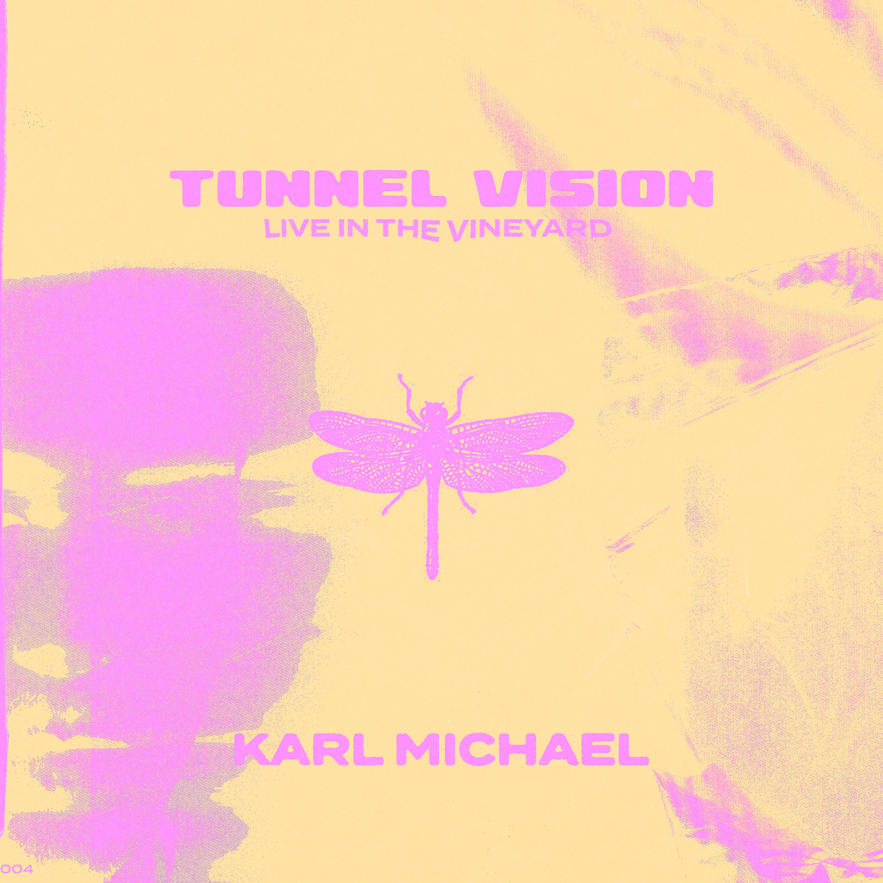 Постер альбома Tunnel Vision (Live in the Vineyard)