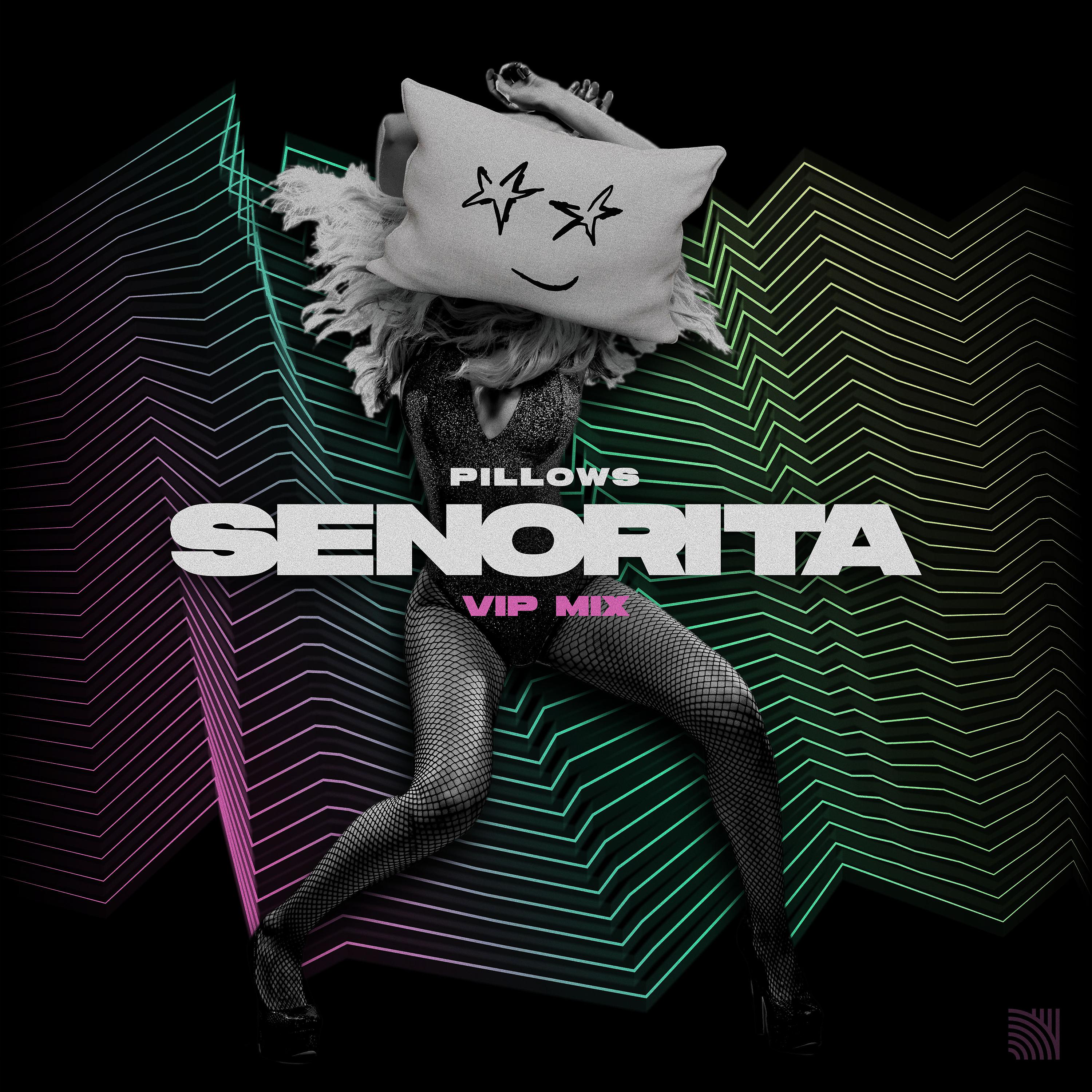 Постер альбома Senorita (VIP Mix)