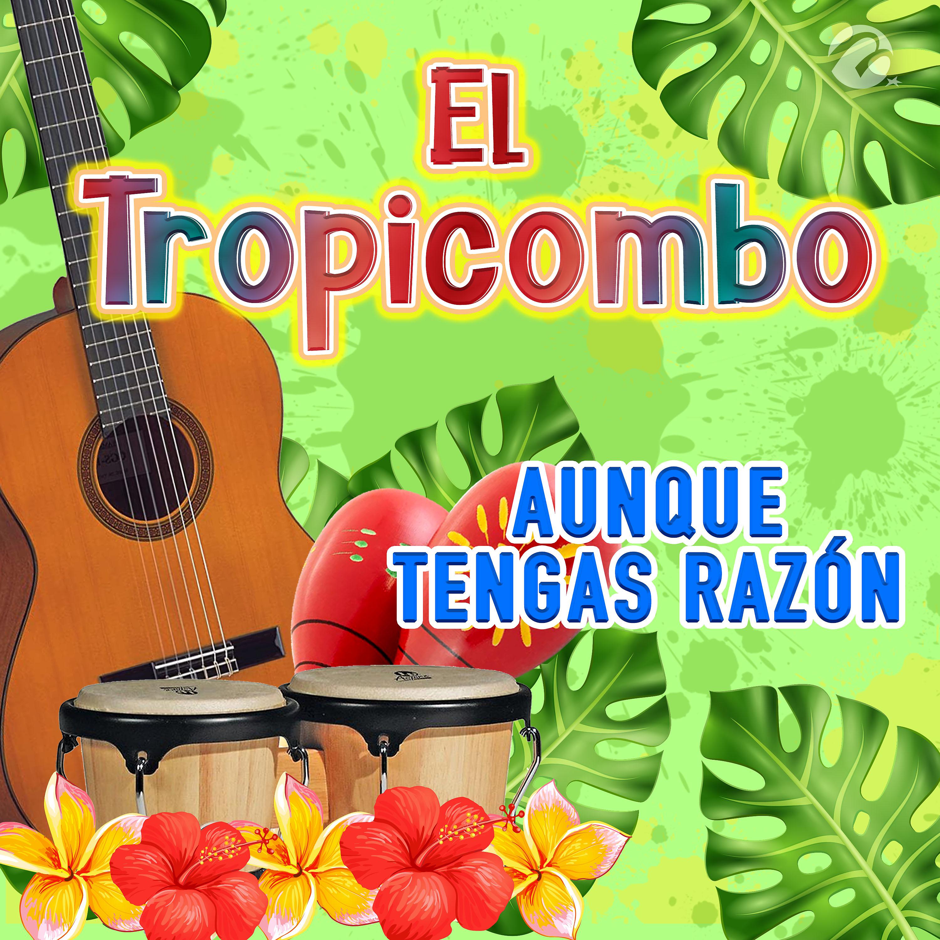 Постер альбома Aunque Tengas Razón