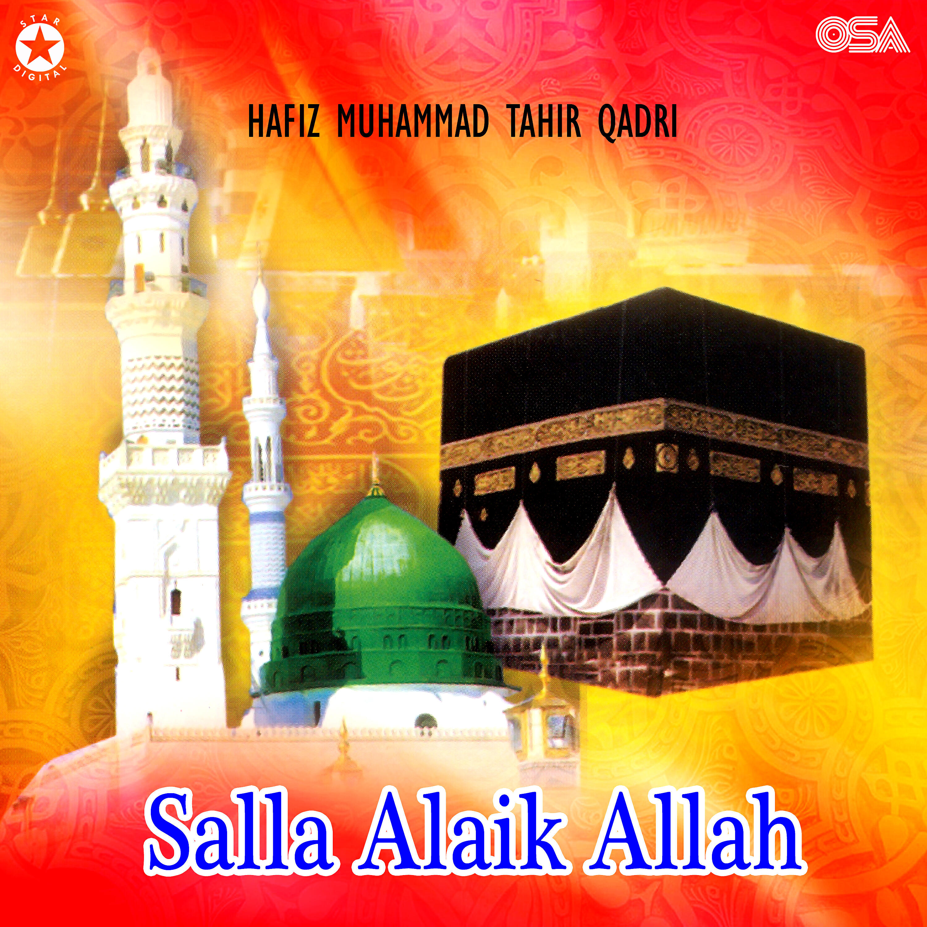 Hafiz Muhammad Tahir Qadri - Sallah Alaihi Maulana