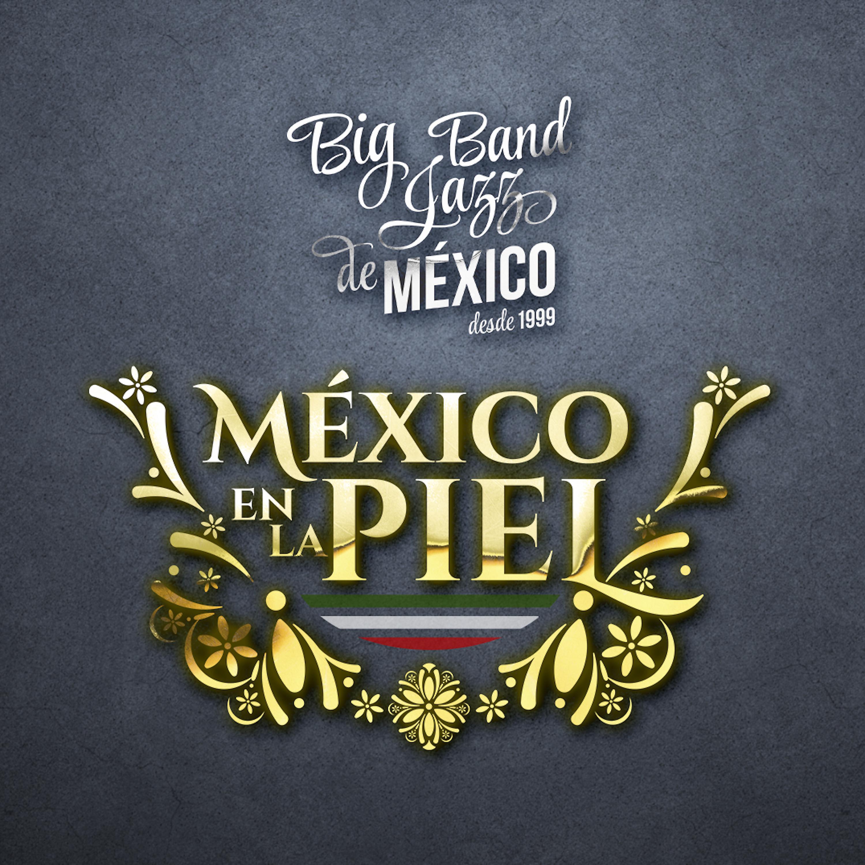 Постер альбома México en la Piel