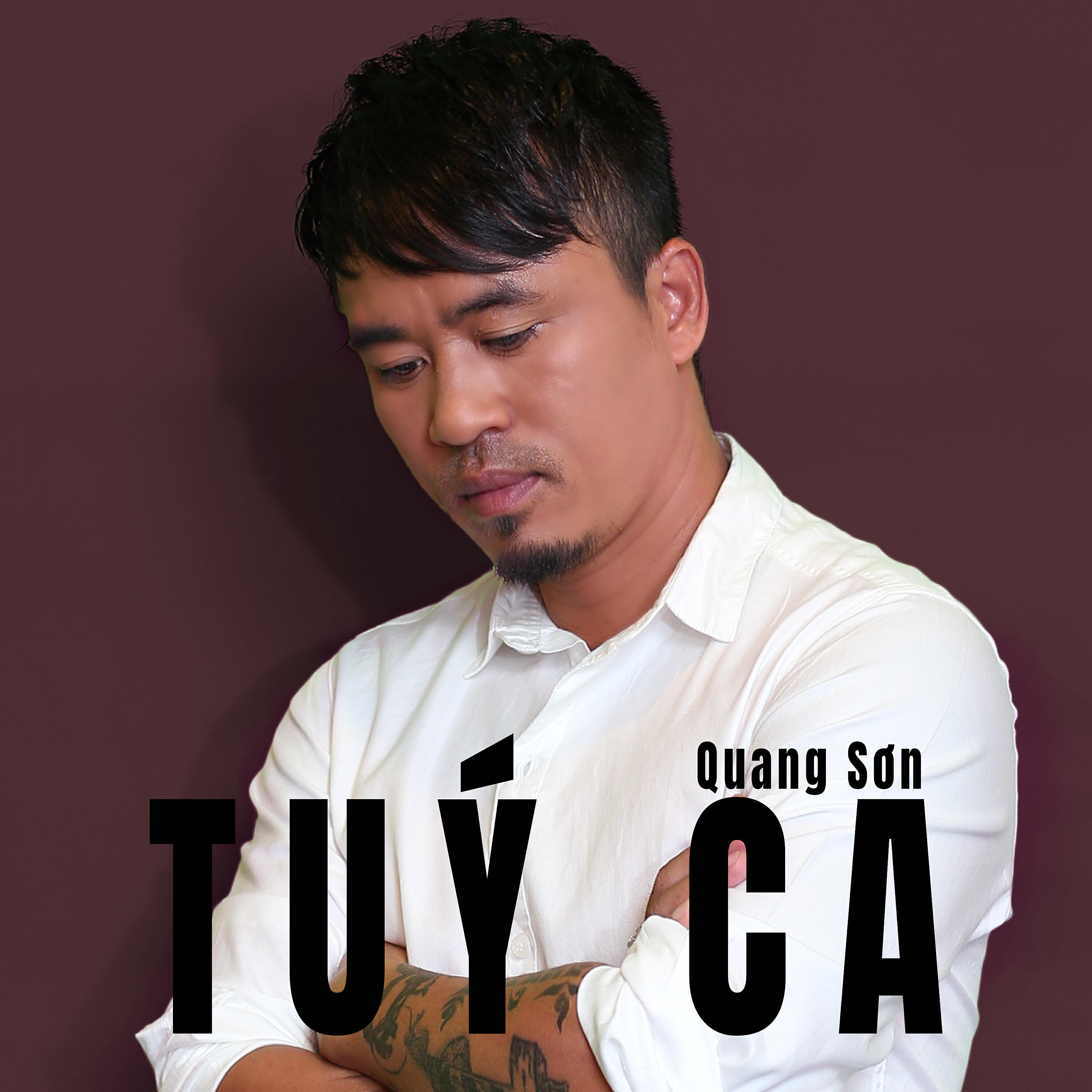 Quang Sơn - Túy ca