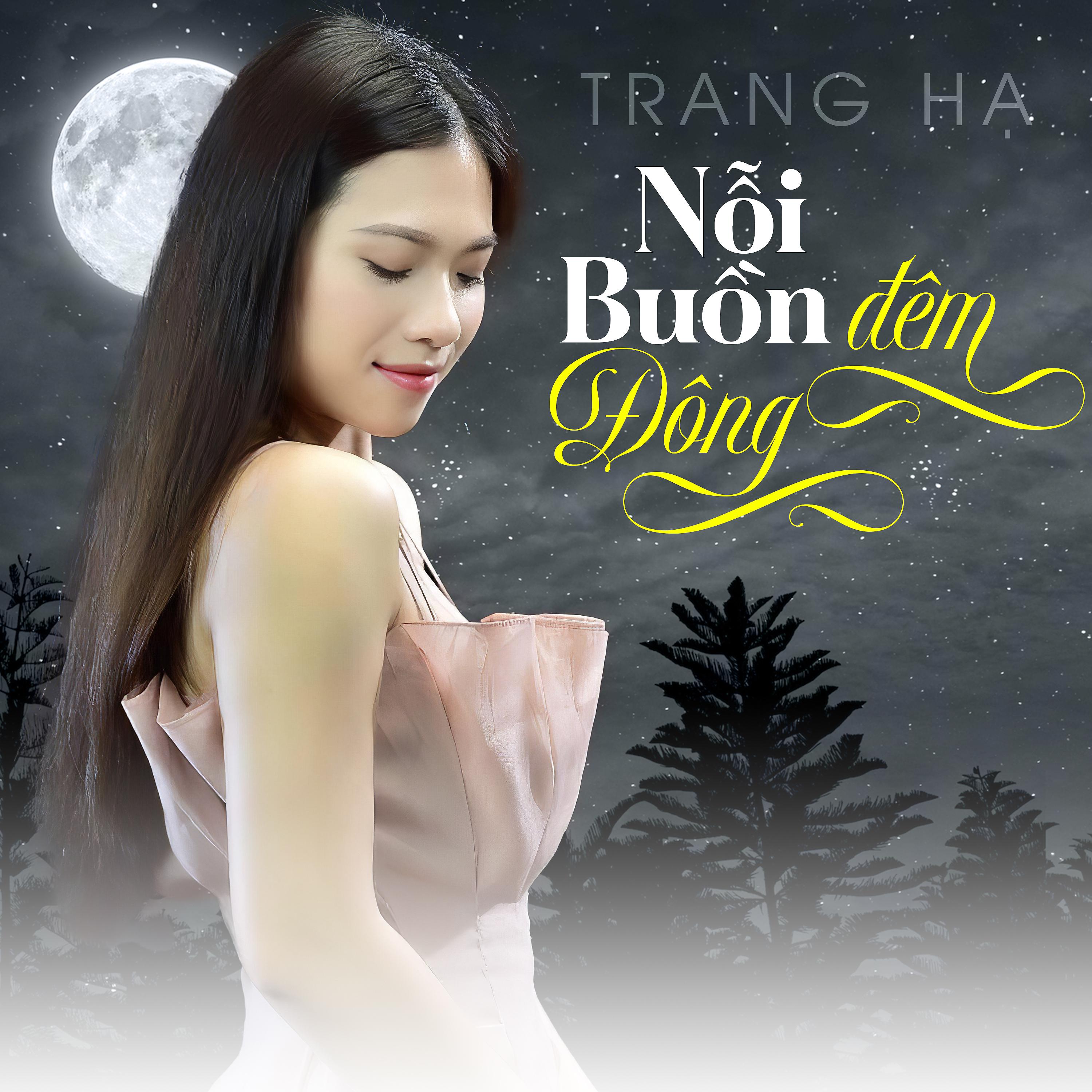 Постер альбома Nồi Buồn Đêm Đông