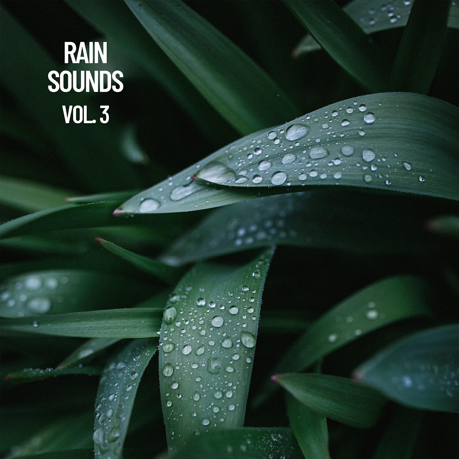 Naturaleza Sonidos - Wet Weather