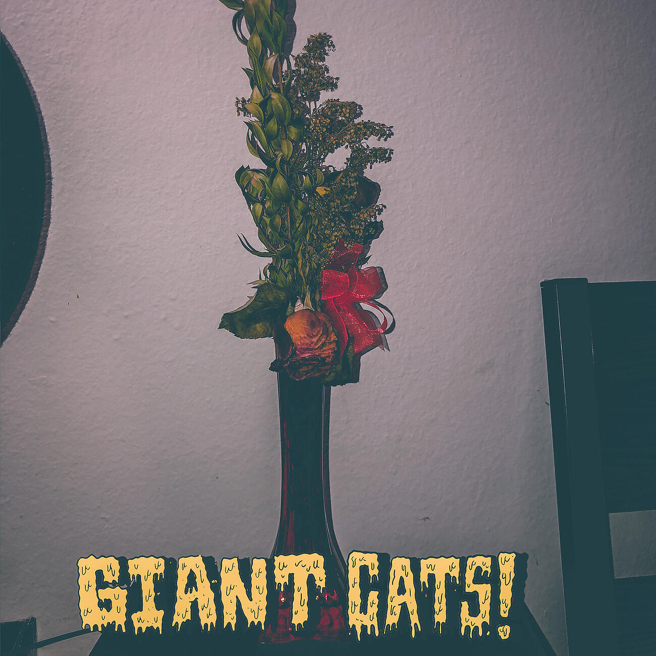 Giant Cats! - Starling